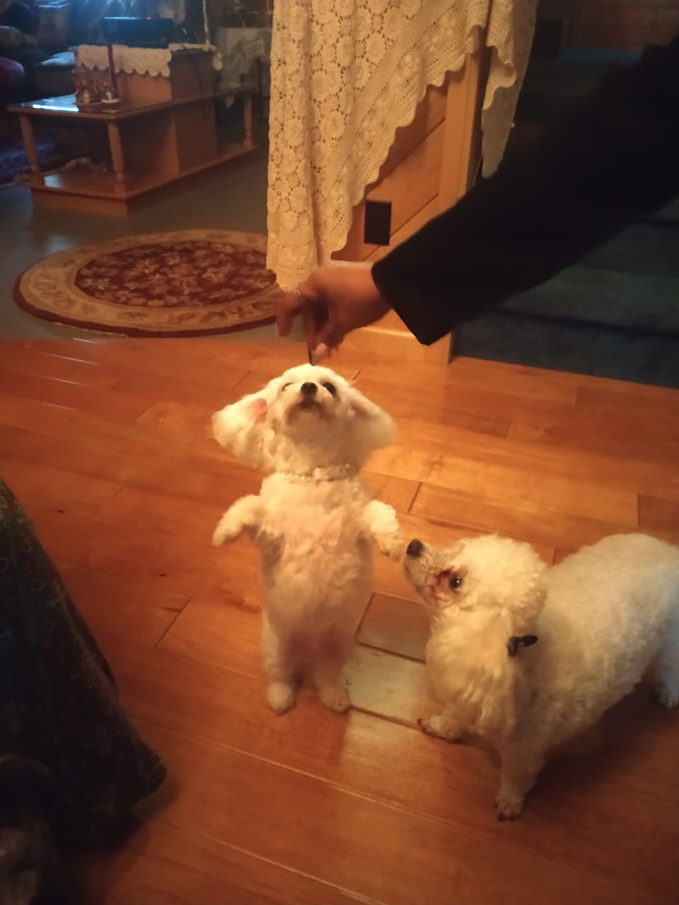 image-5