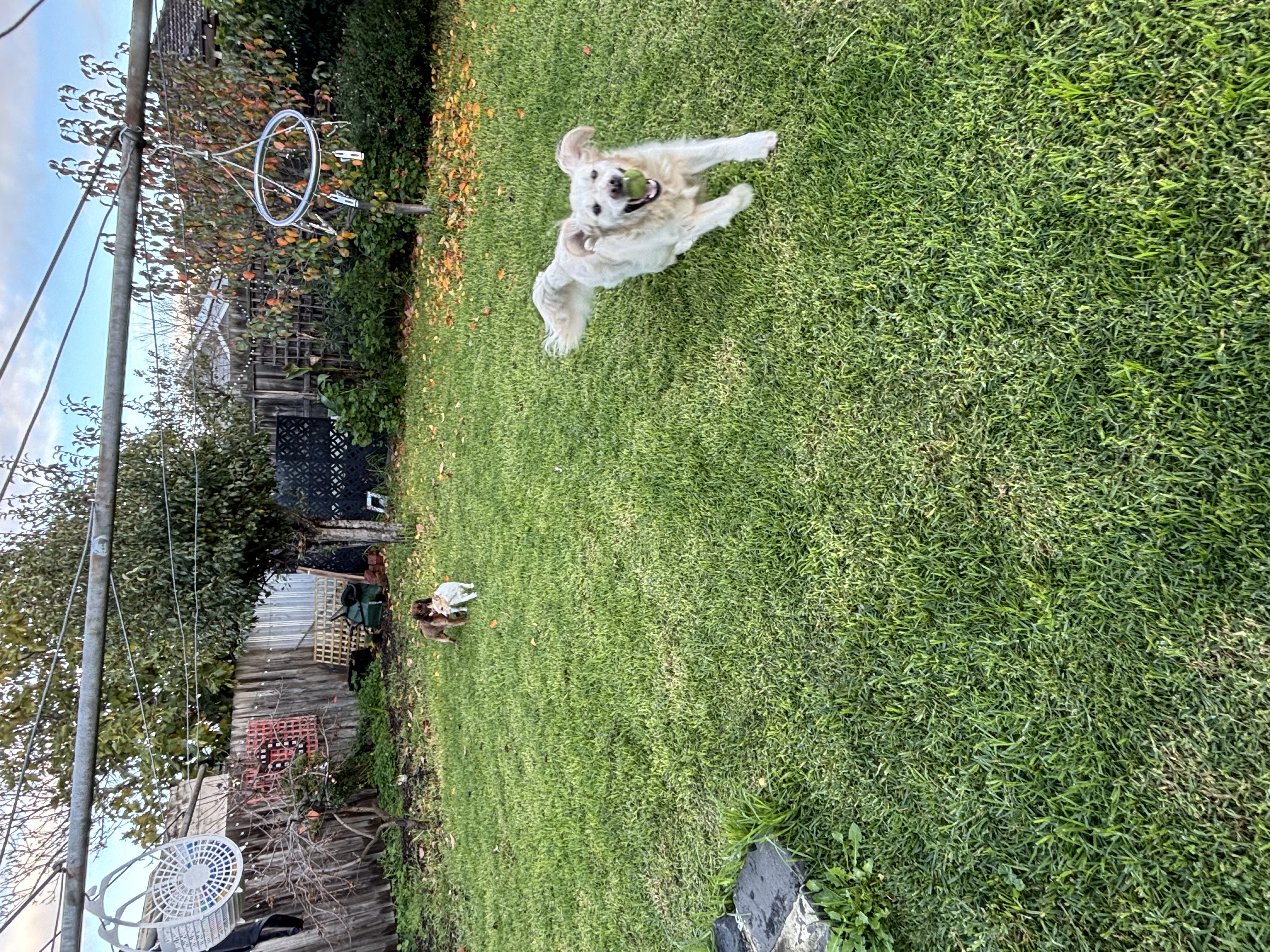 image-18