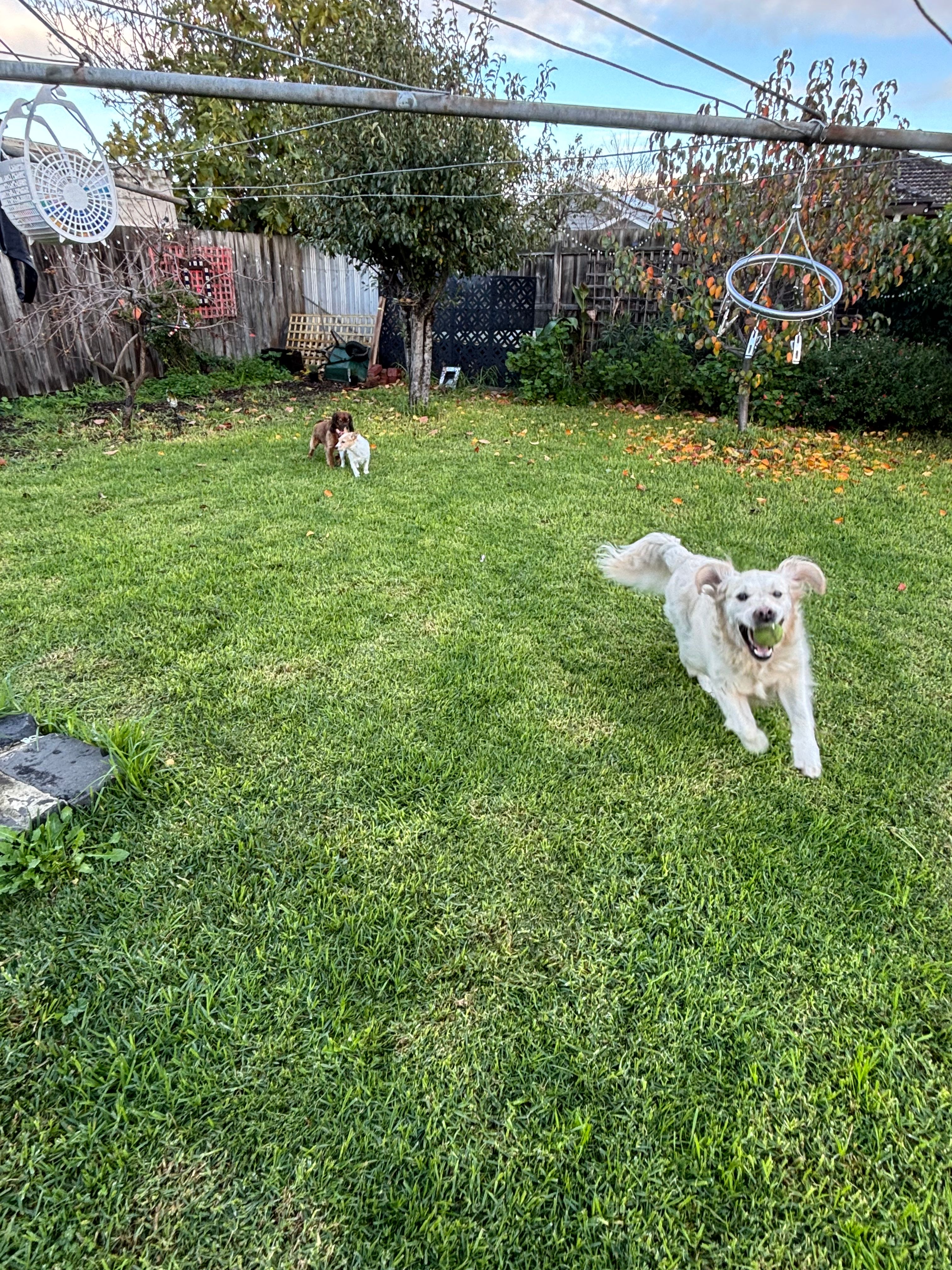 image-18