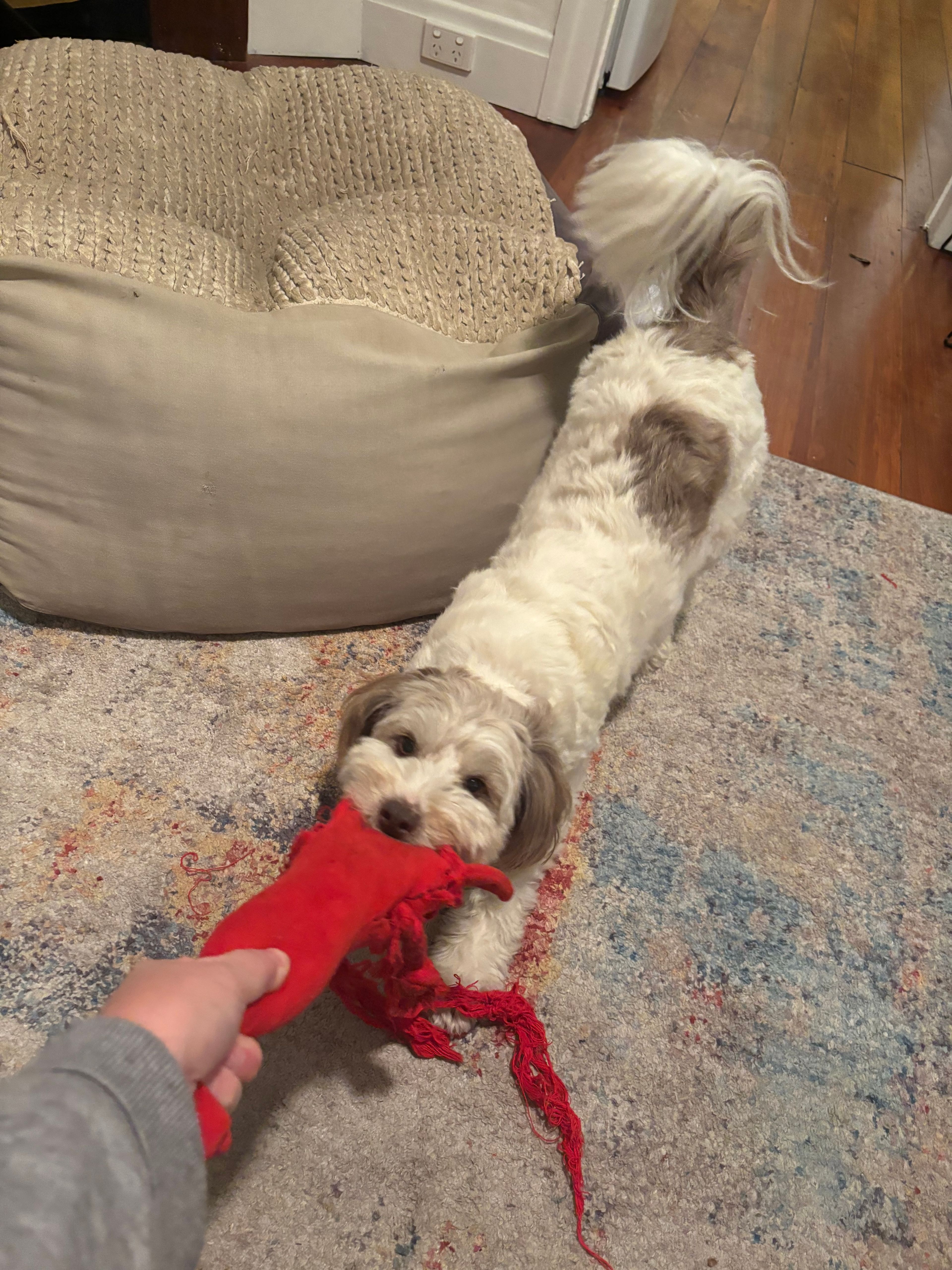 image-11