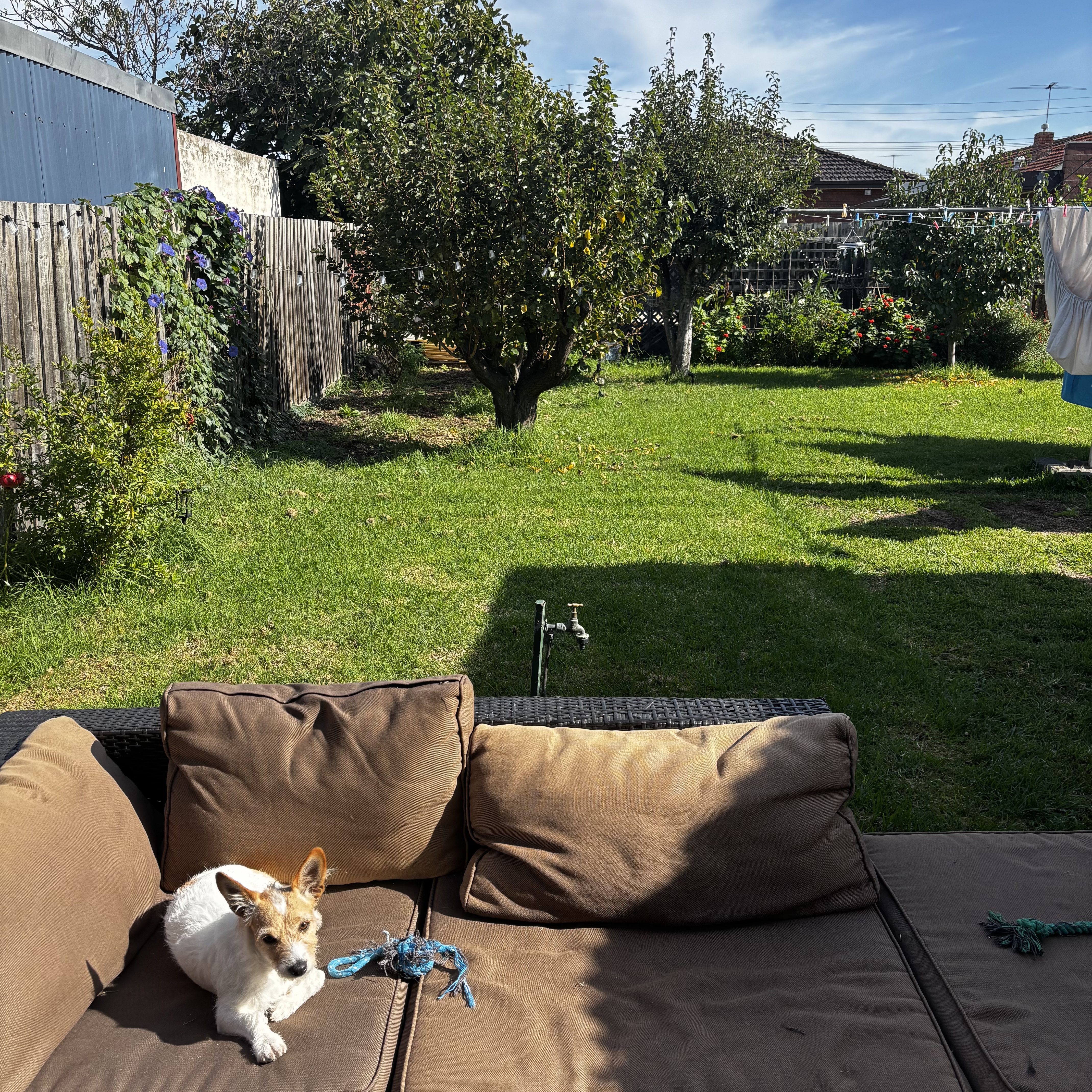 image-8