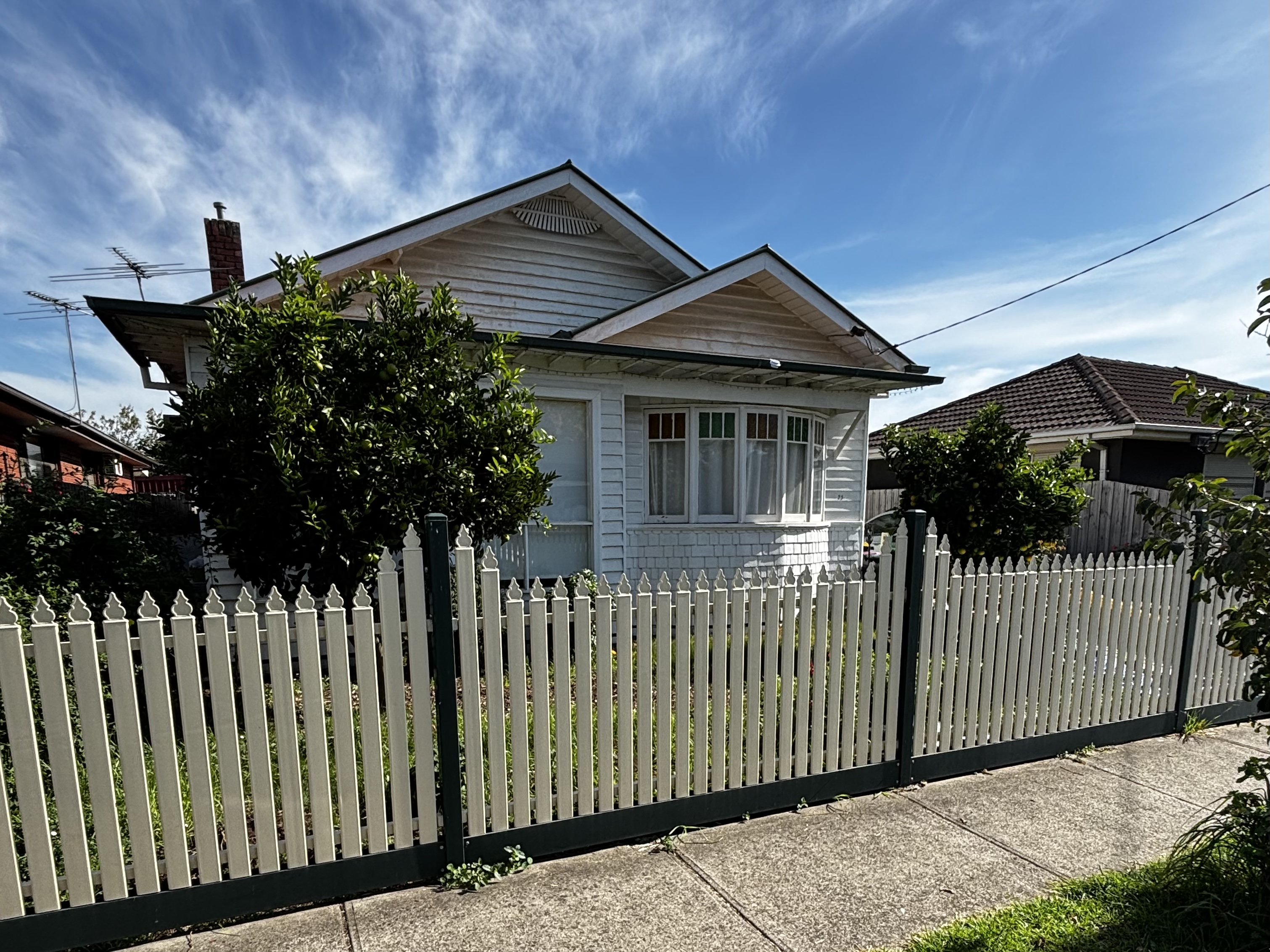 image-19