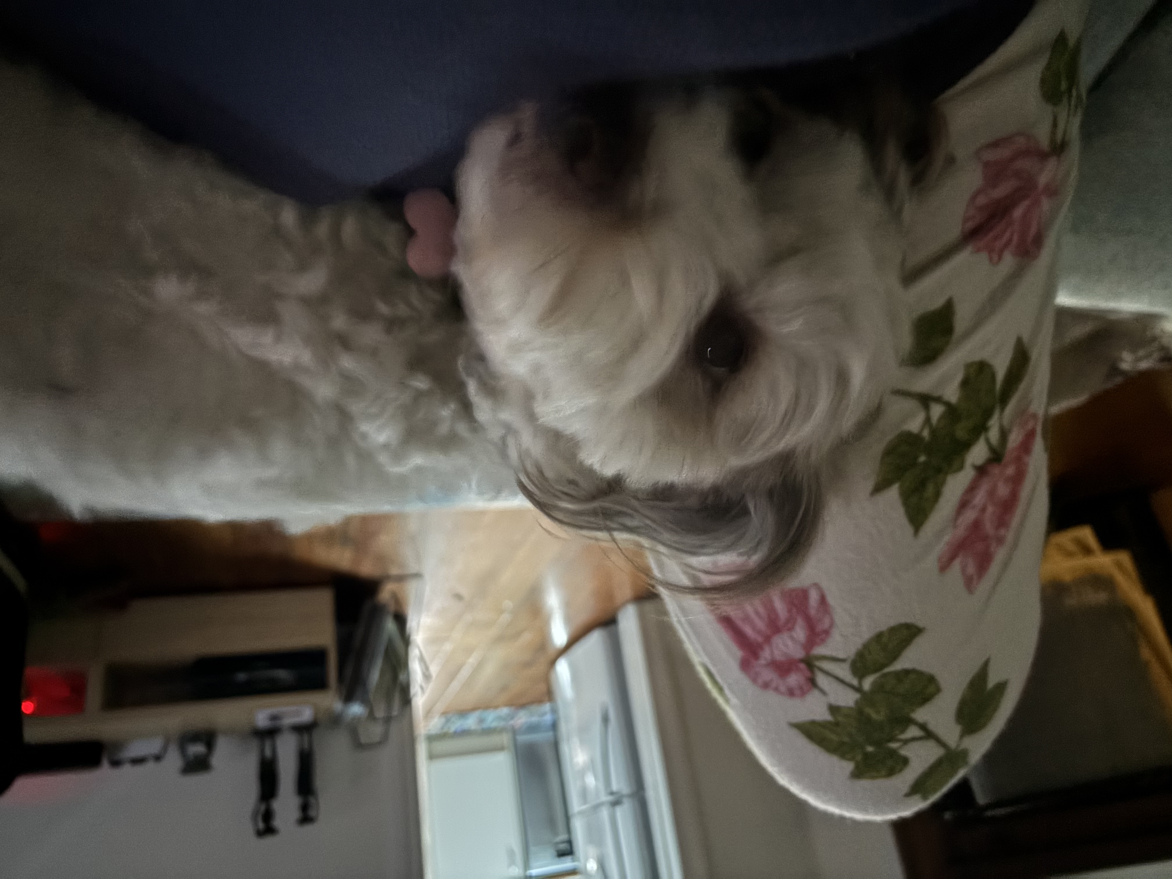 image-13