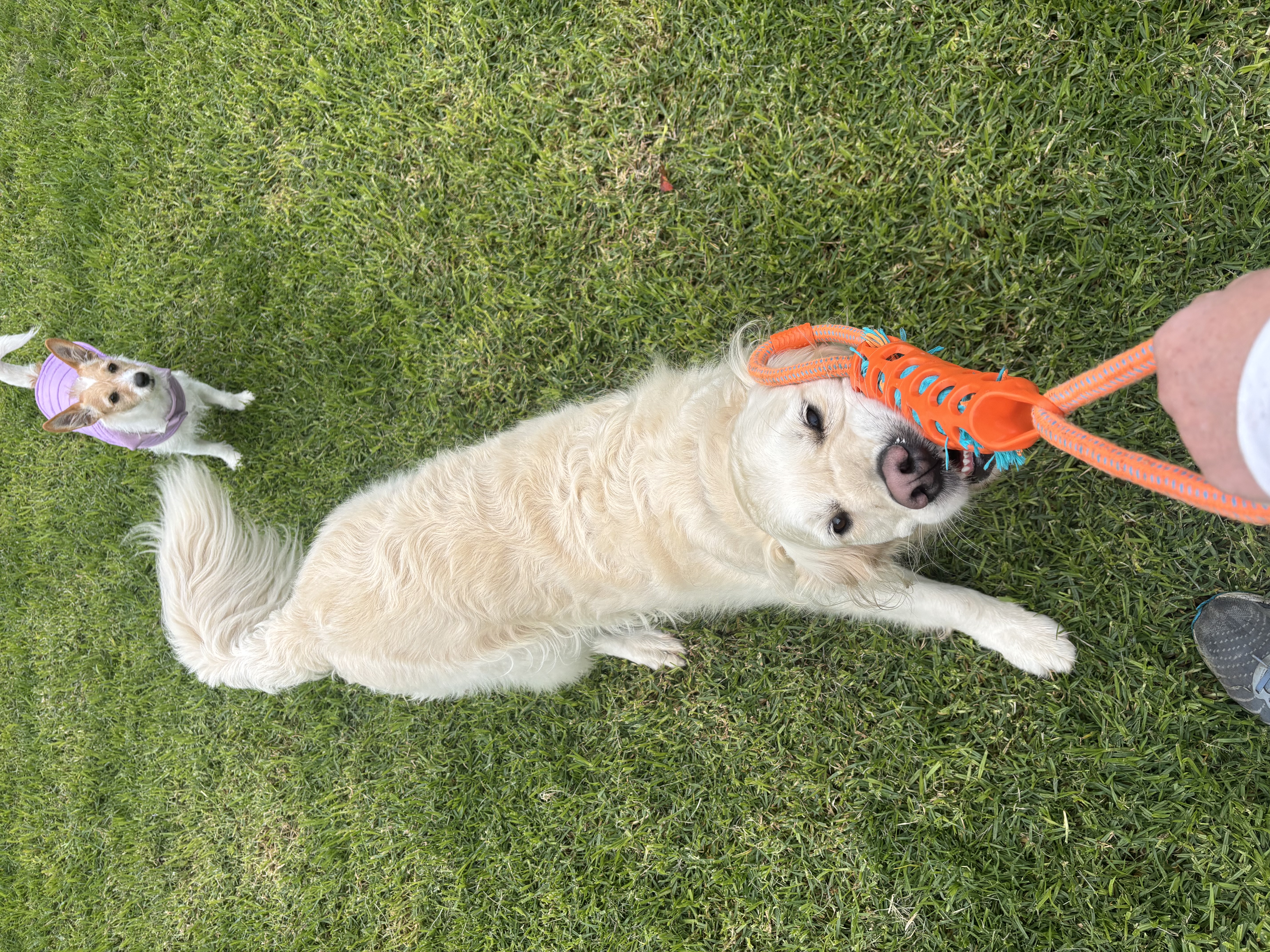 image-8