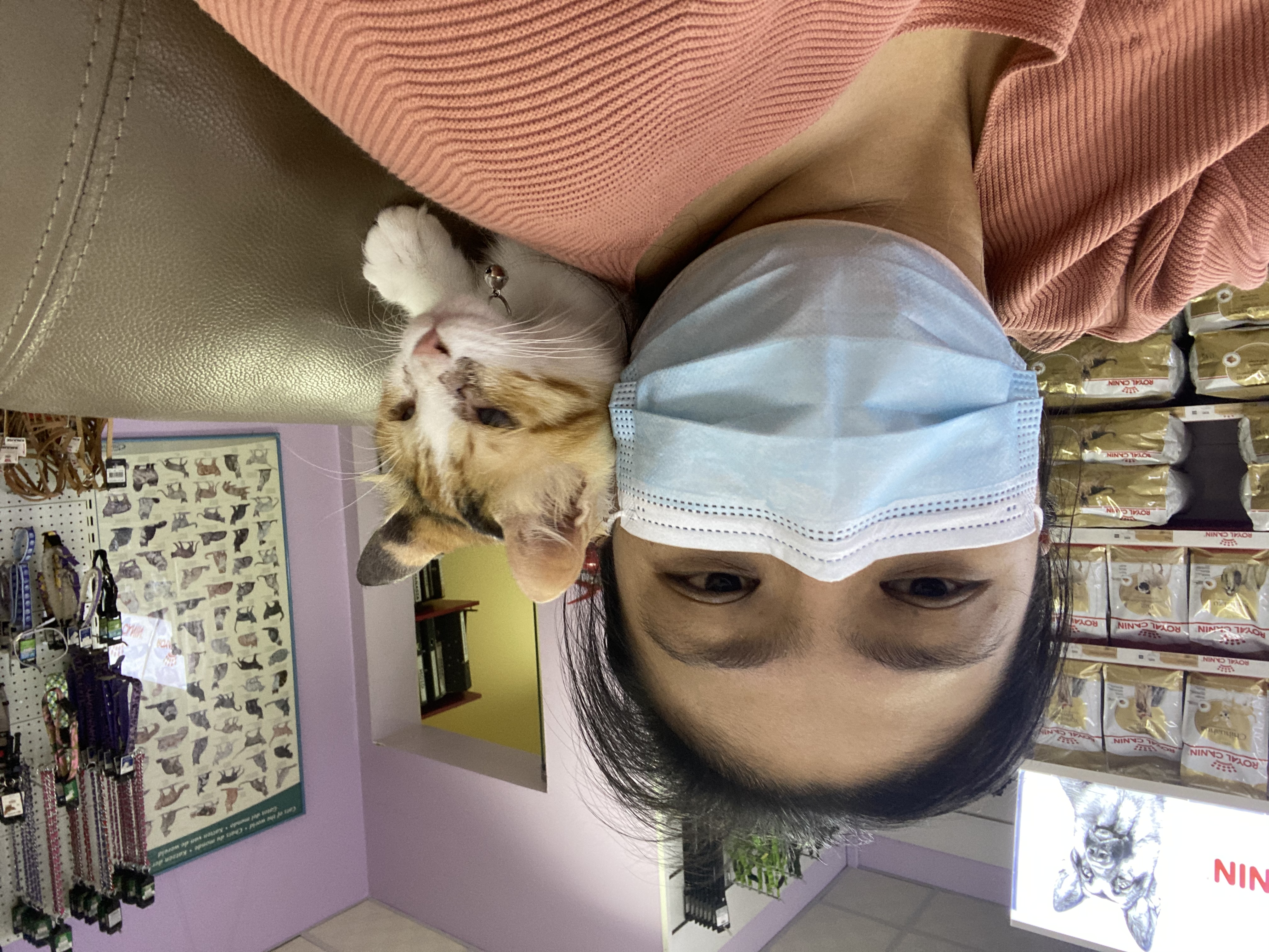 image-3