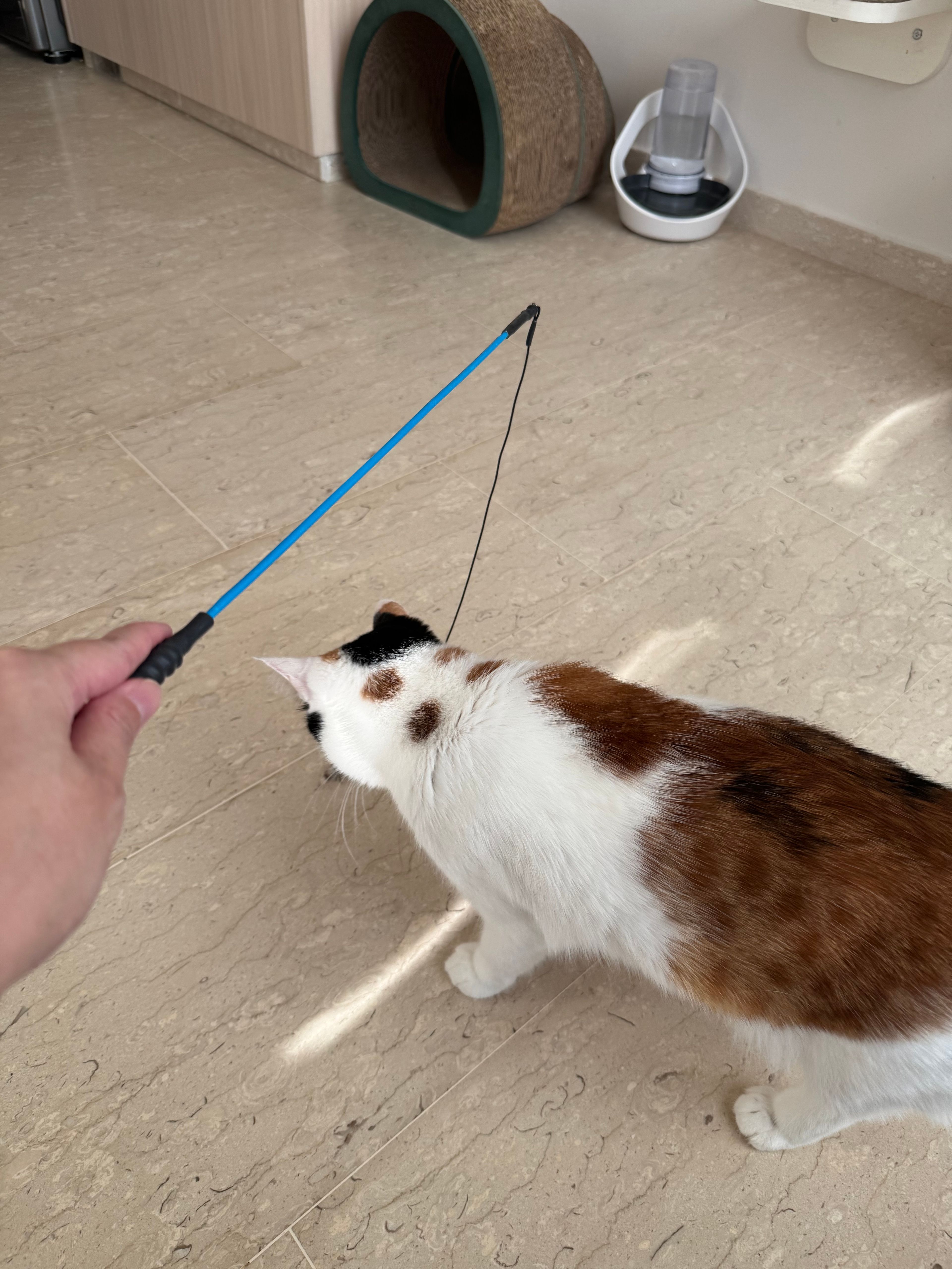 image-16