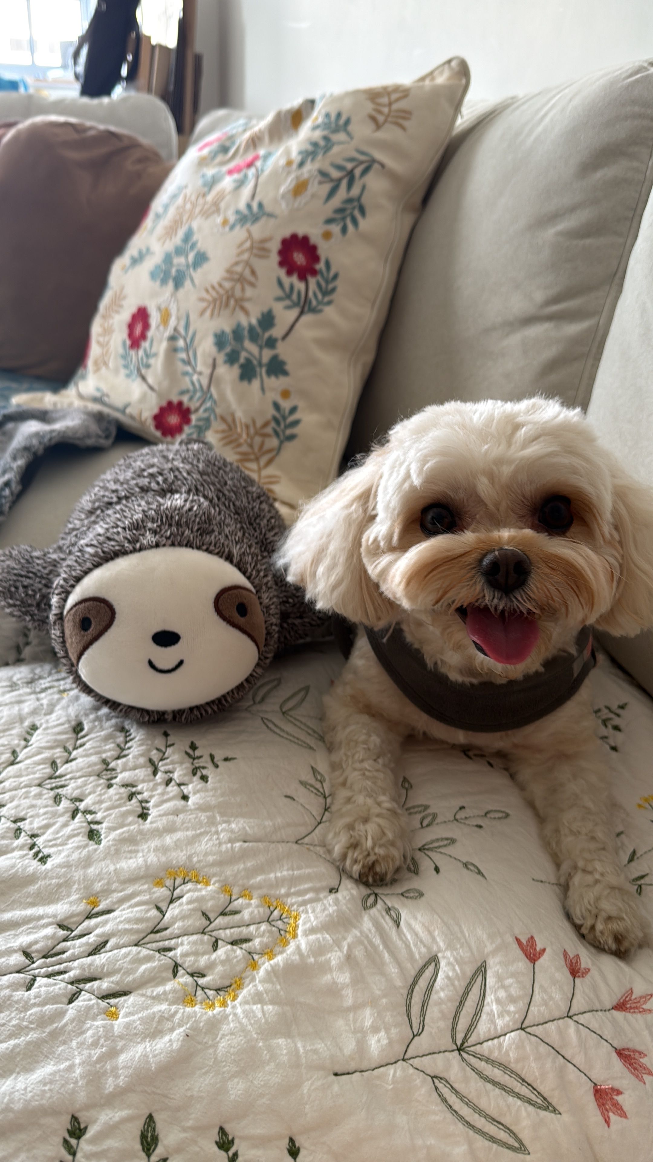 image-2