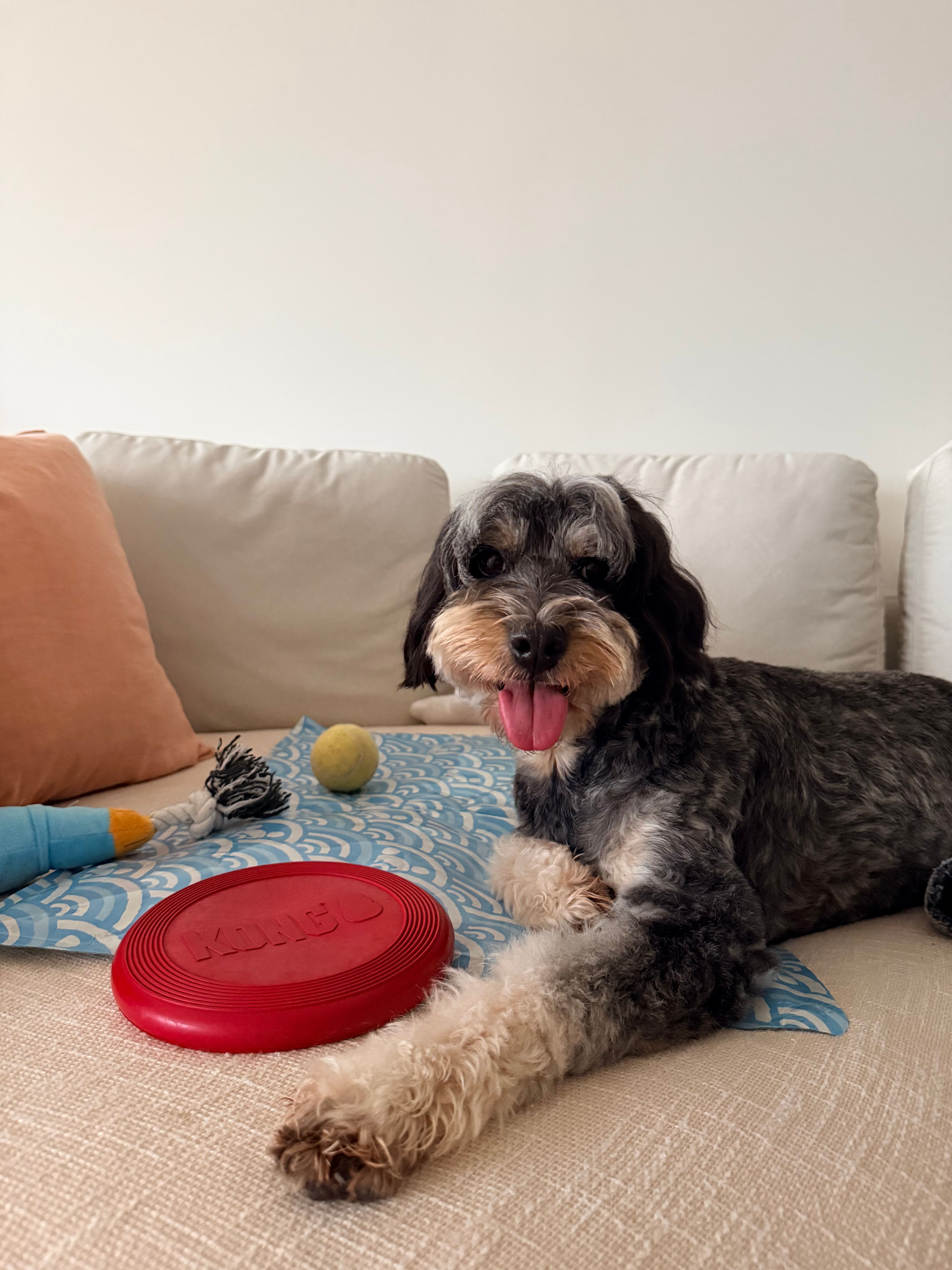 image-1