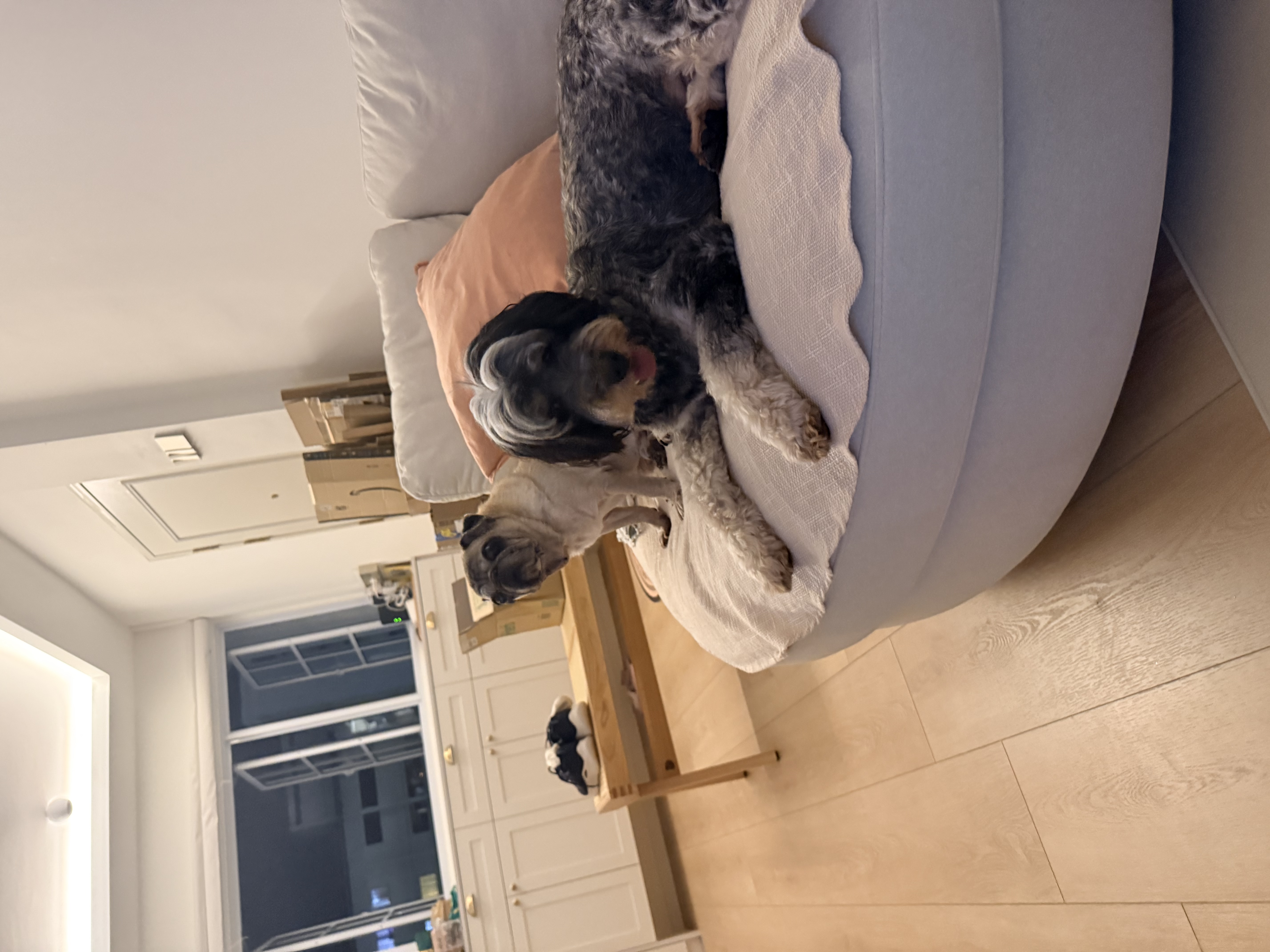 image-4