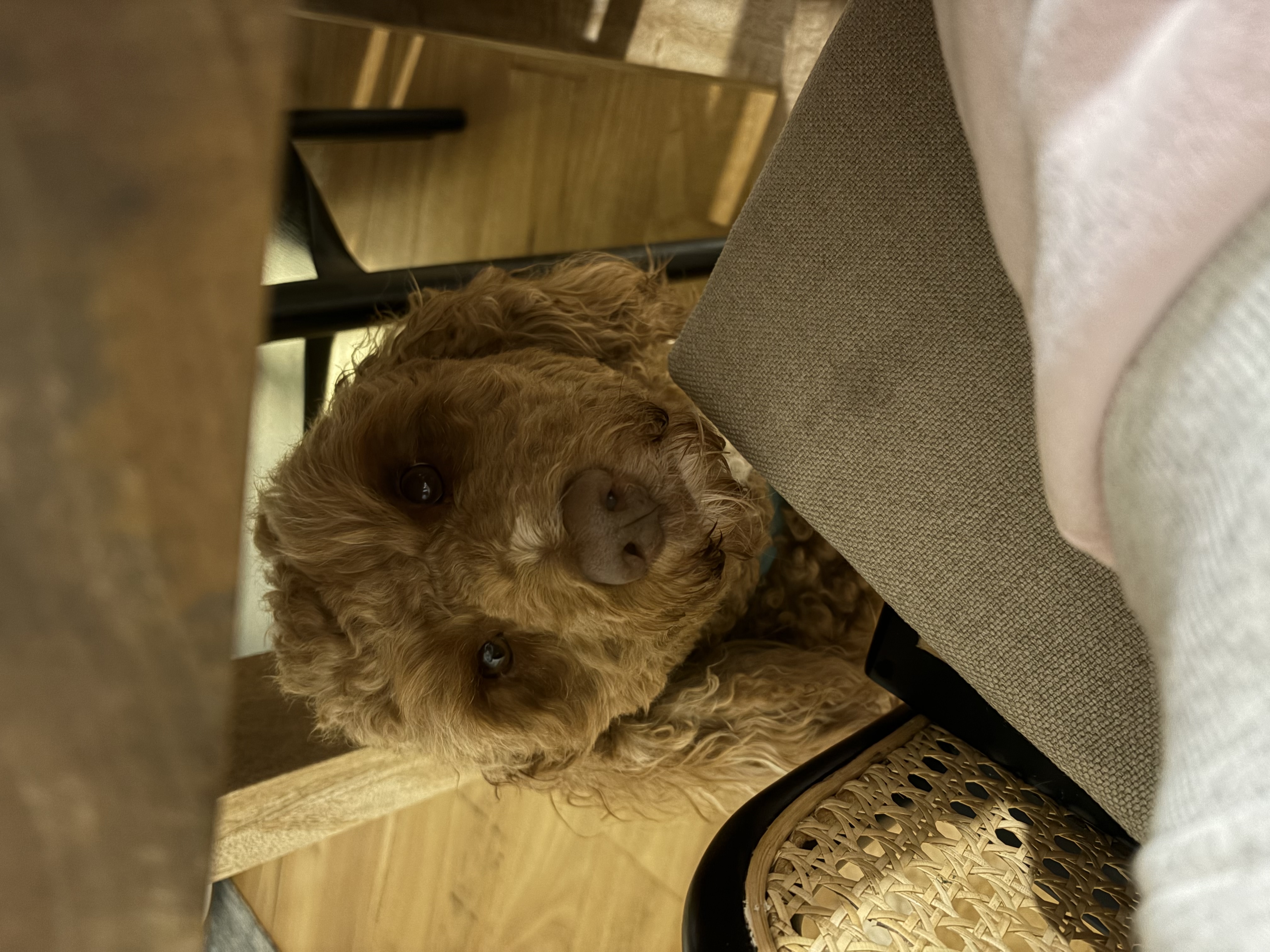 image-6