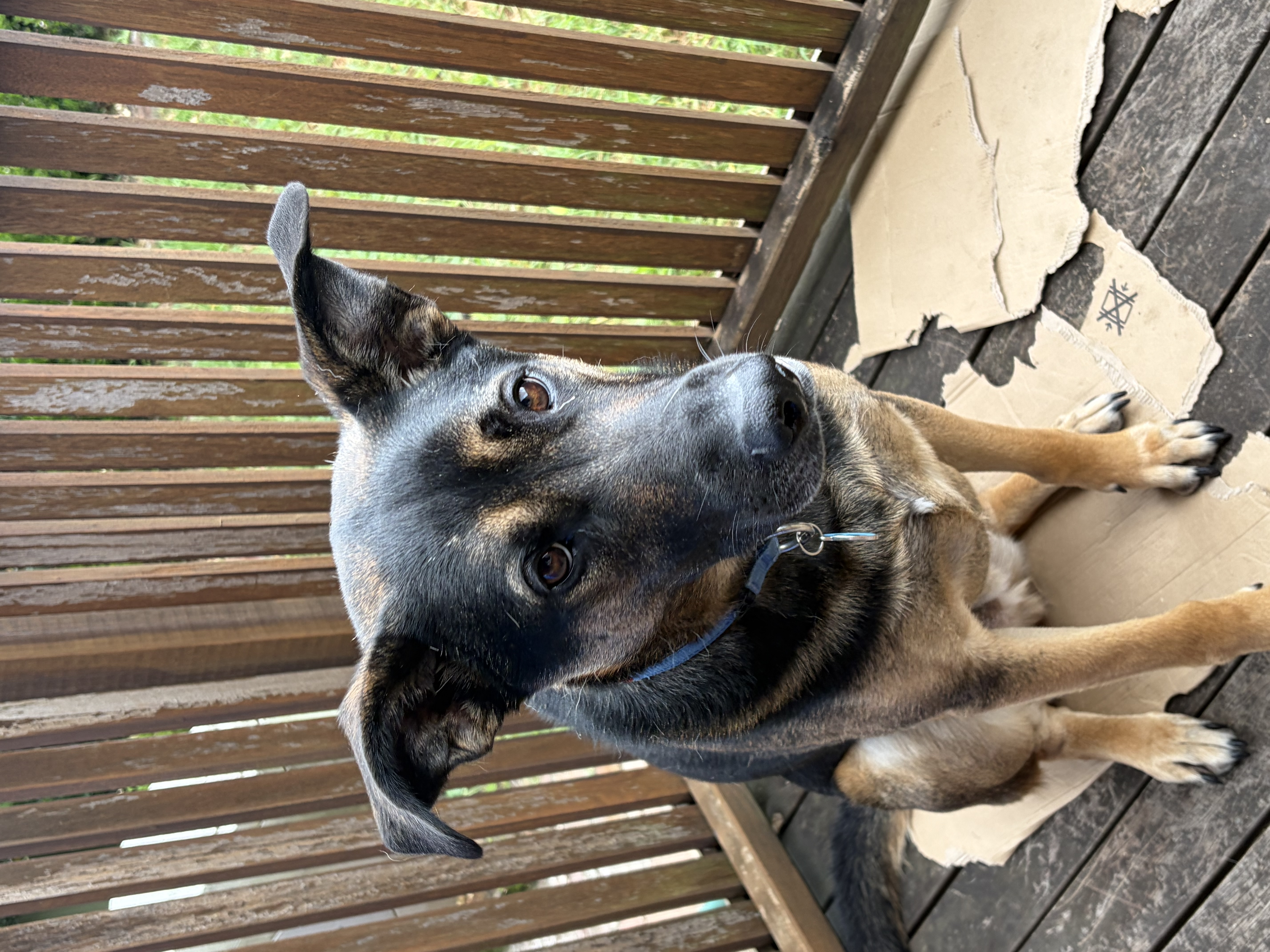 image-5