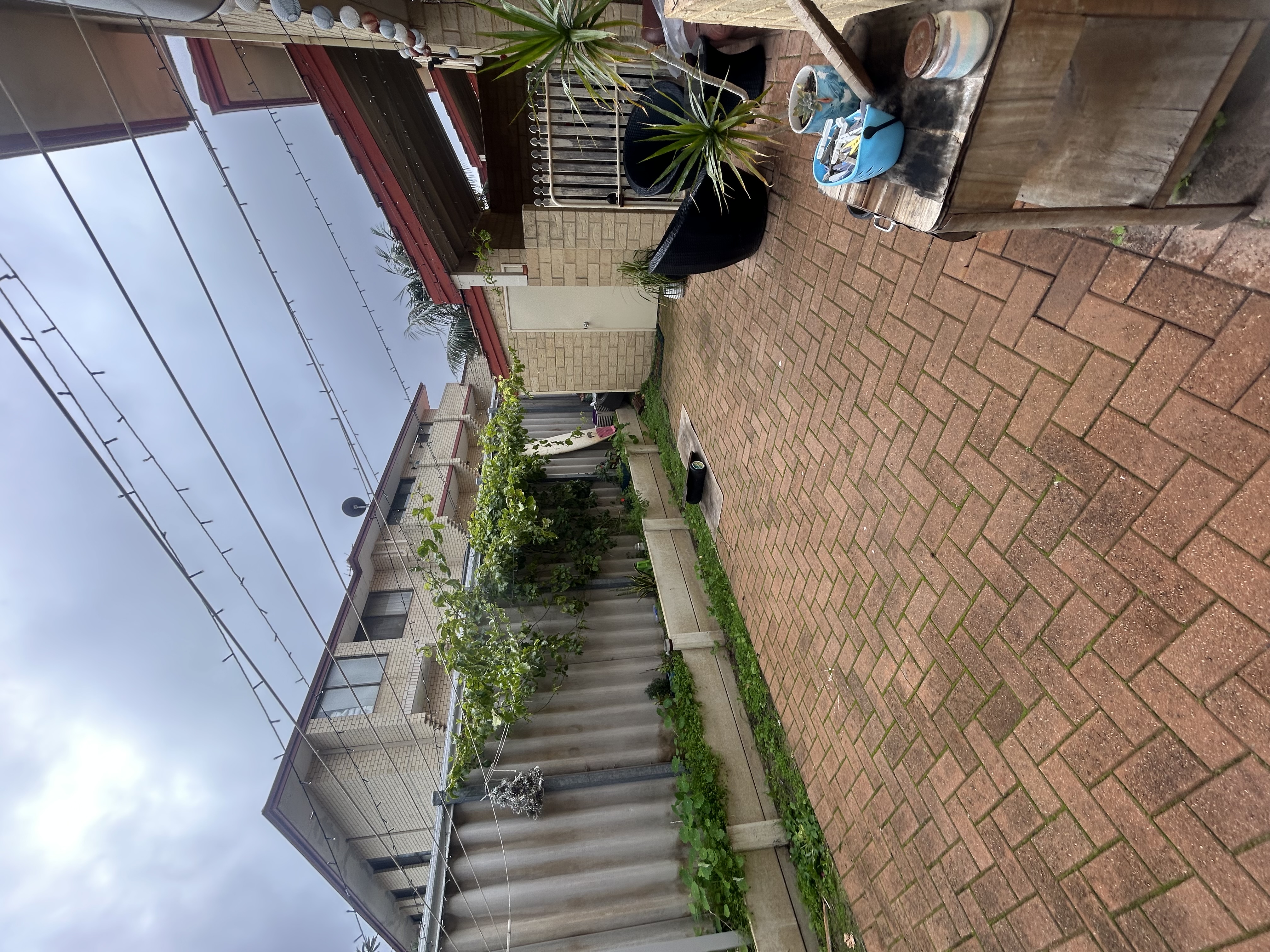 image-18