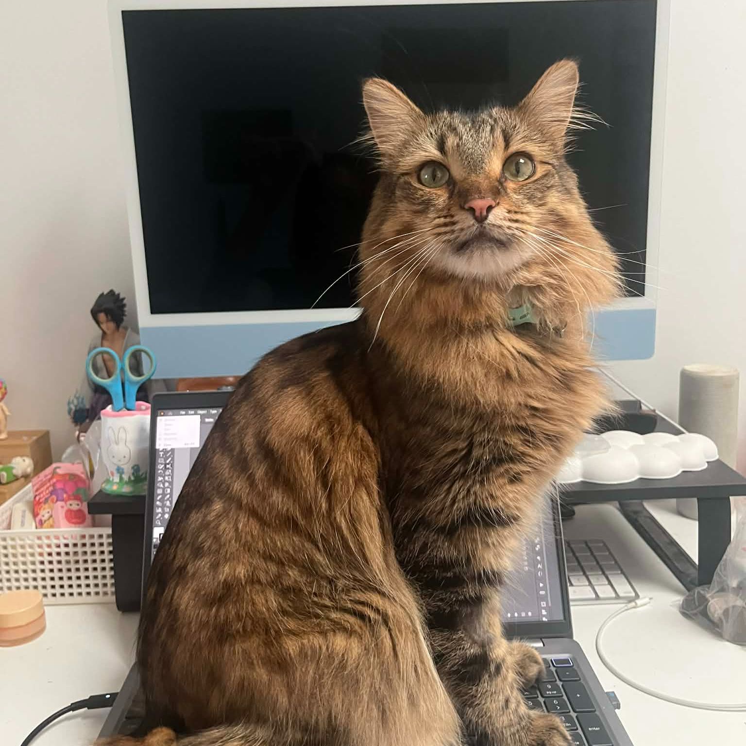 Fig