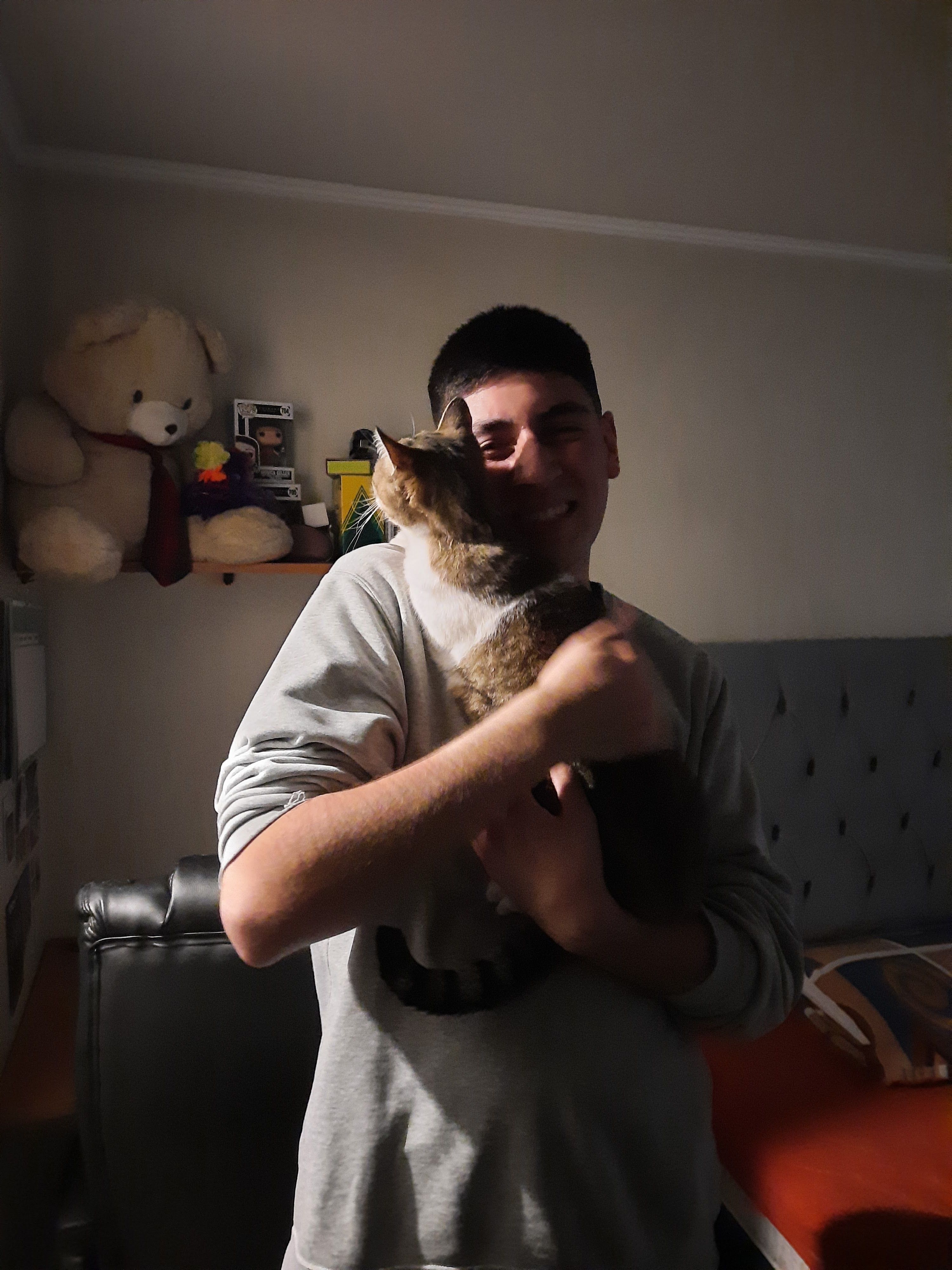 image-7