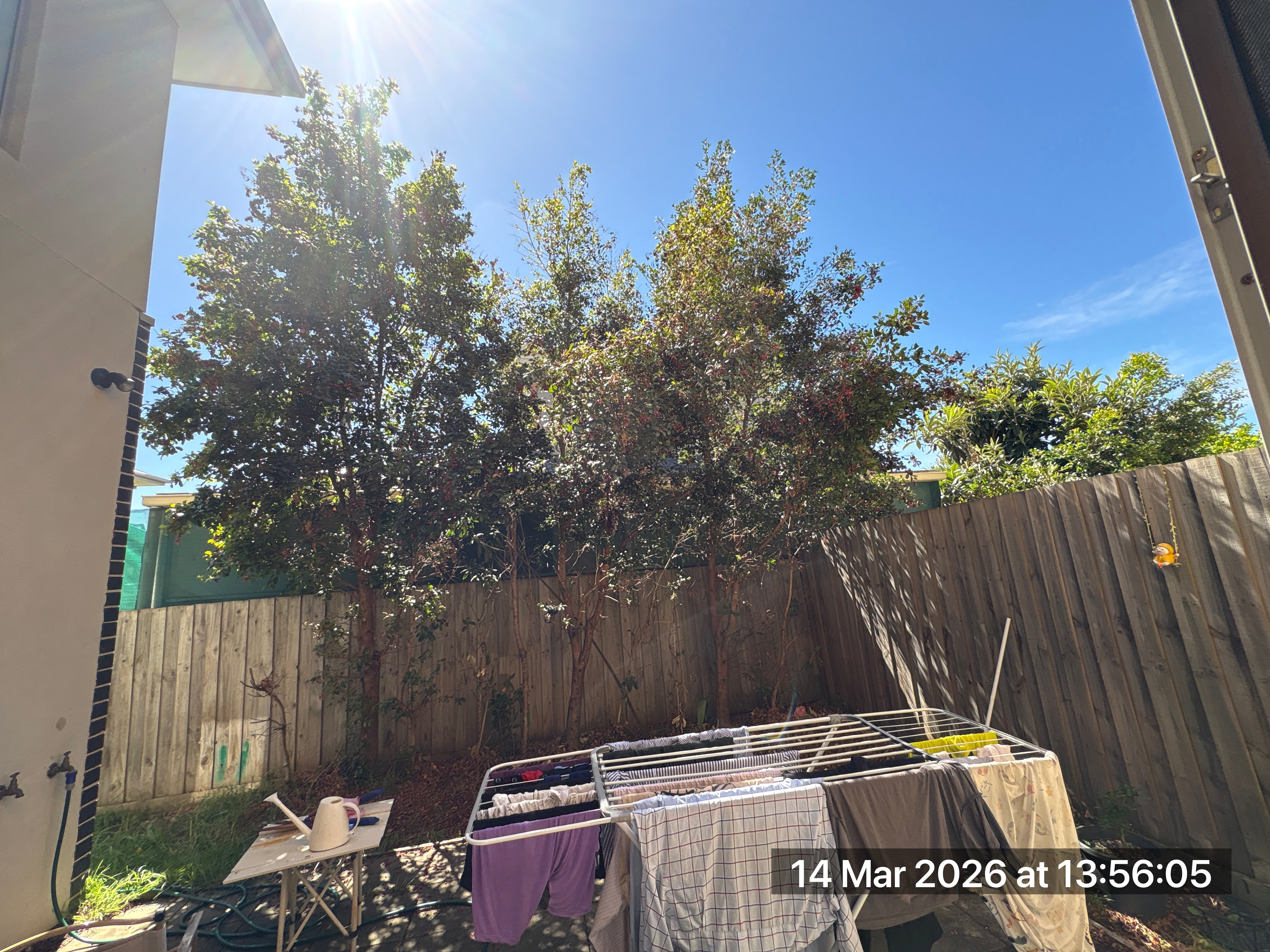 image-16