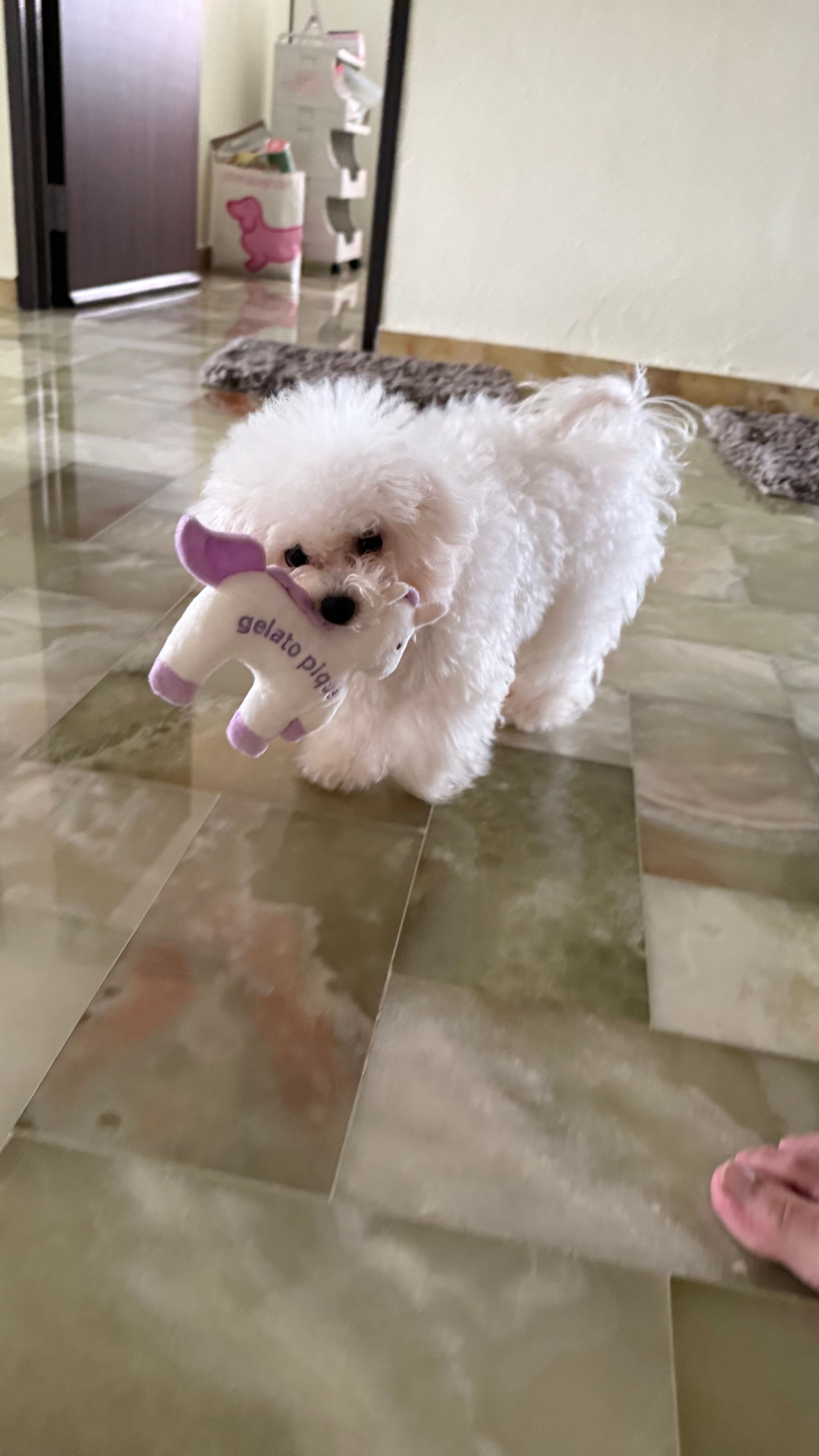 image-19