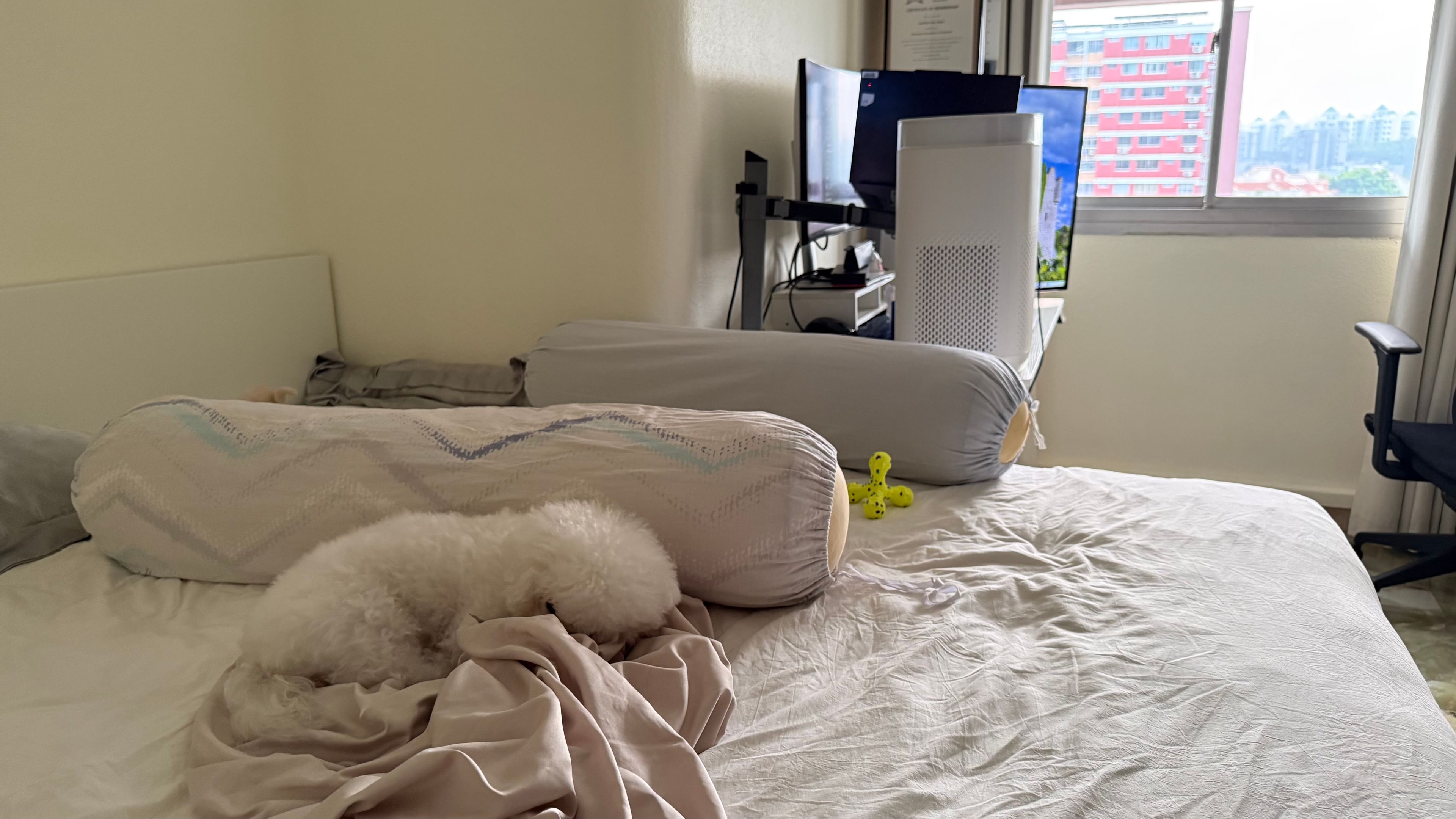image-13