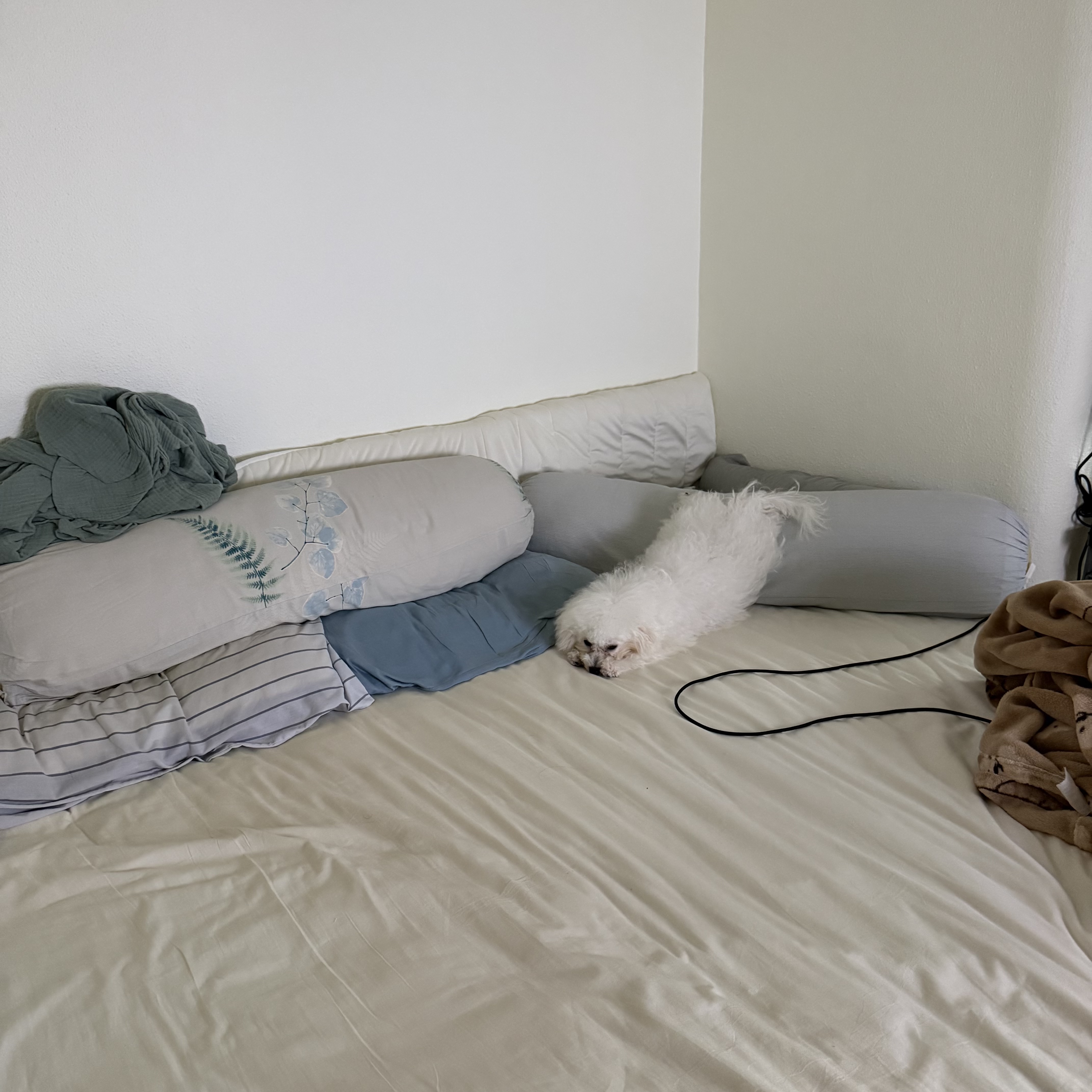 image-17