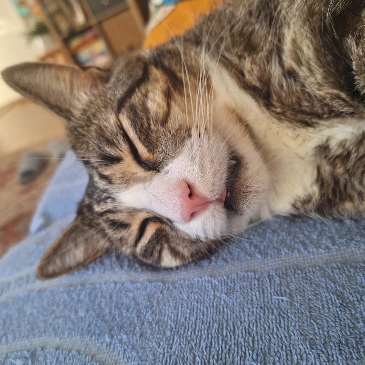 Bijoux