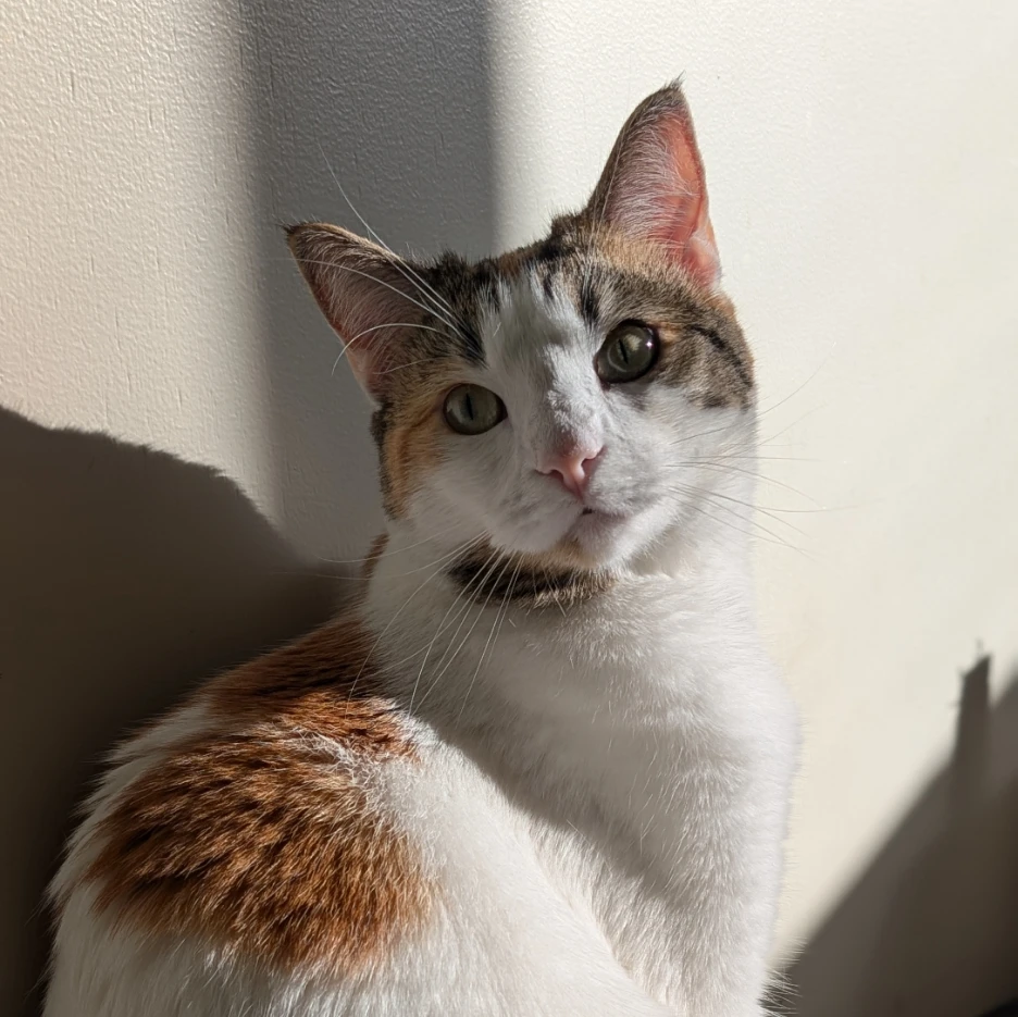 Chloe