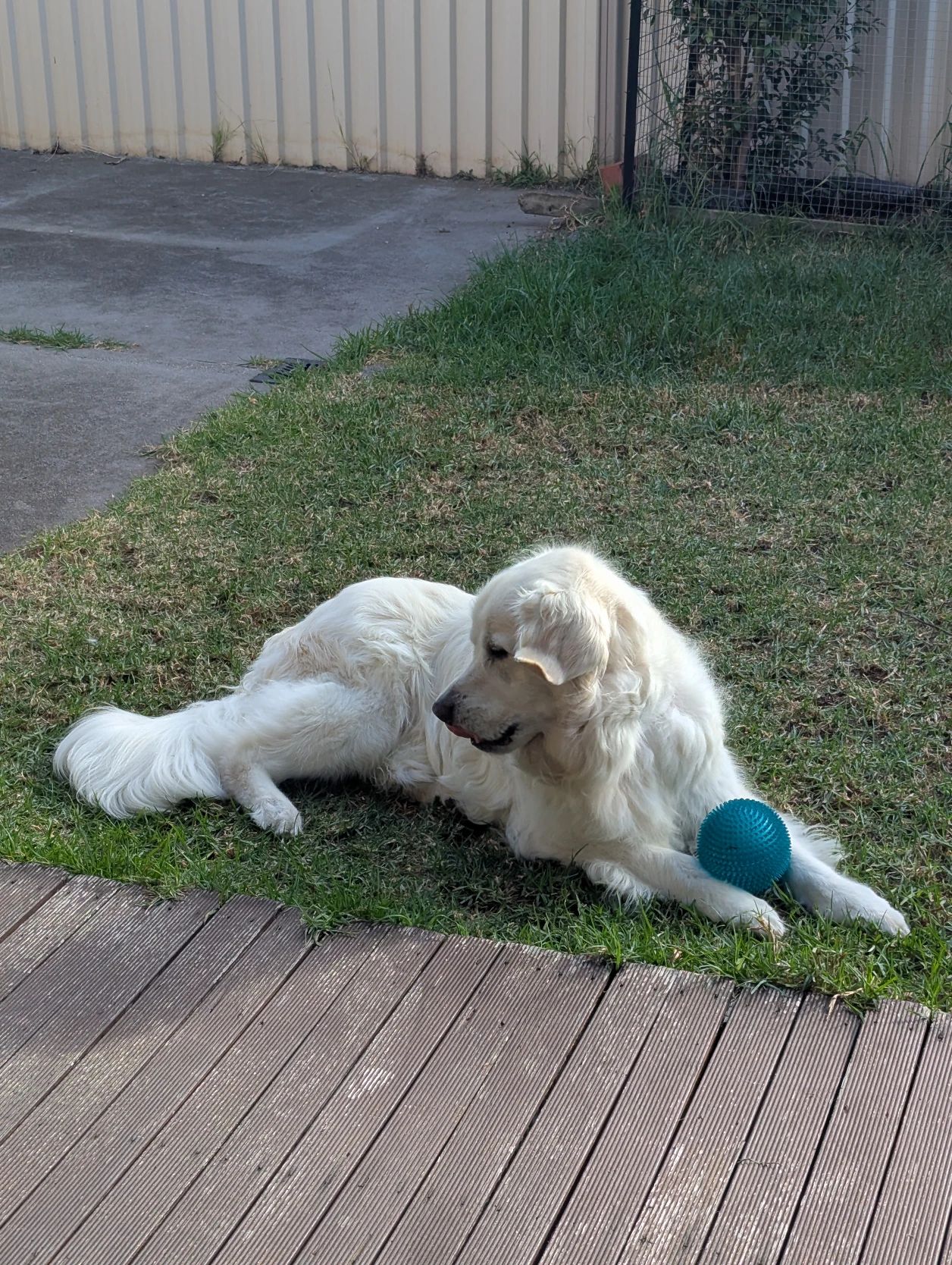 image-10