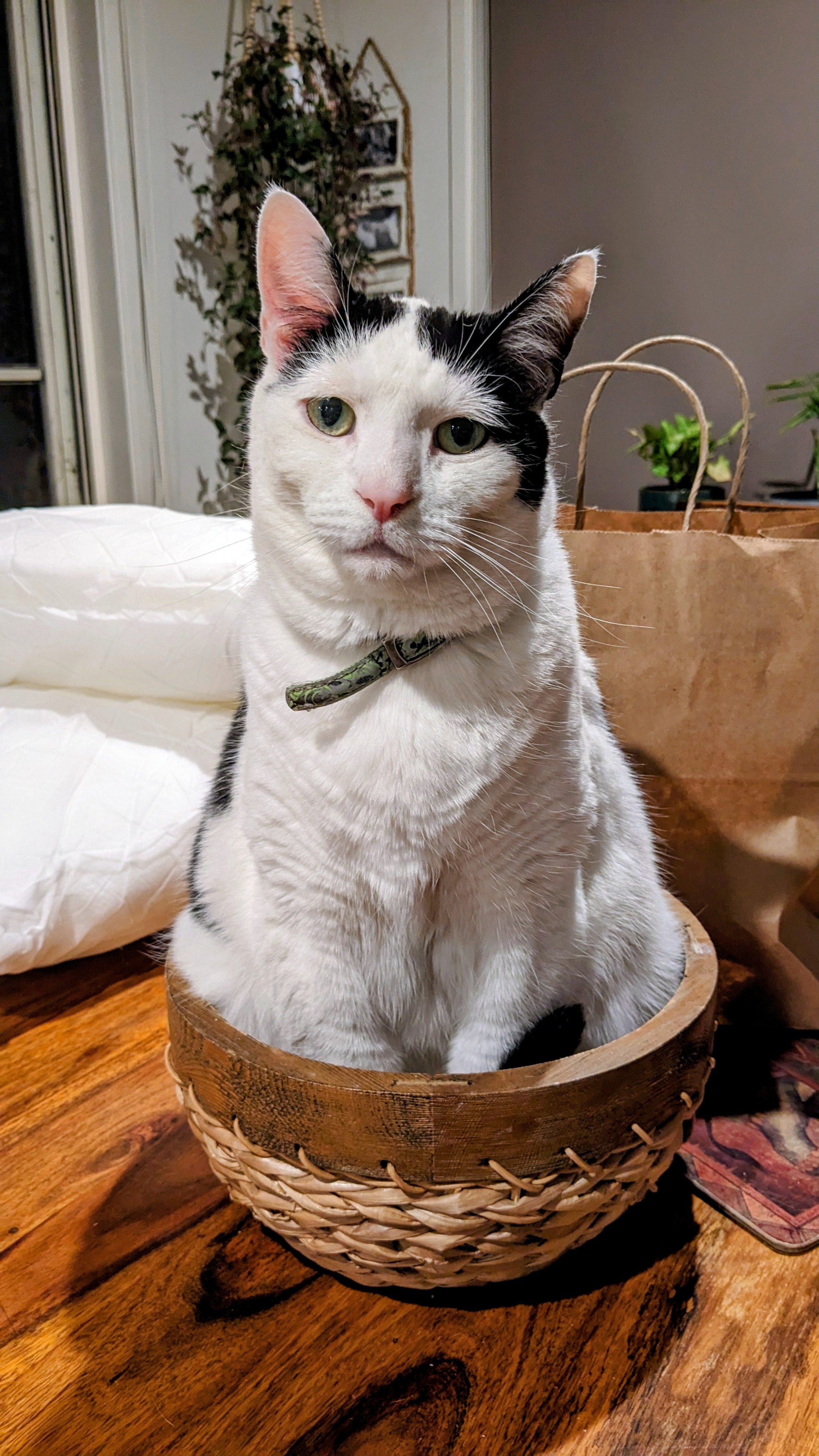 image-8