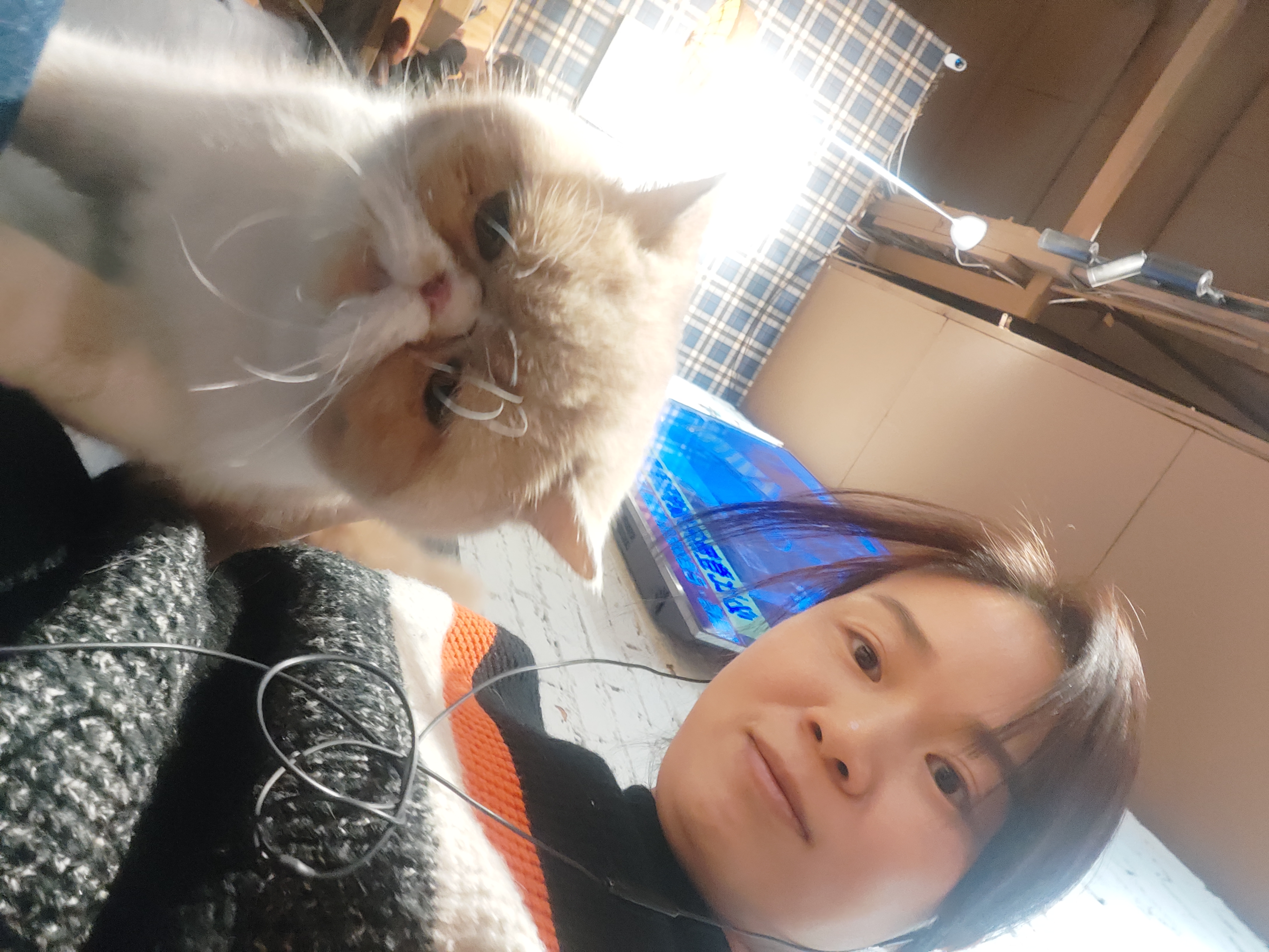 image-8