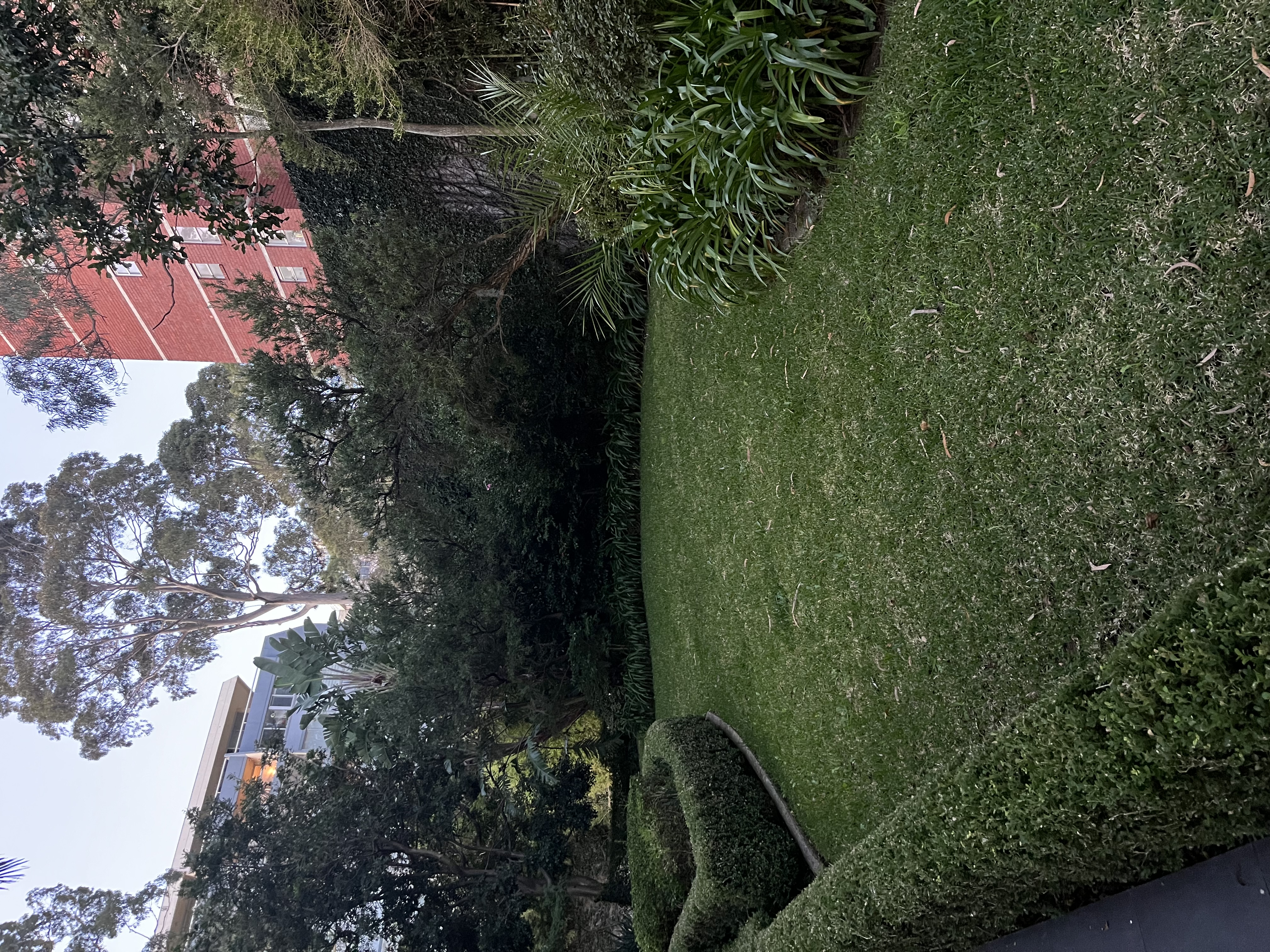 image-16