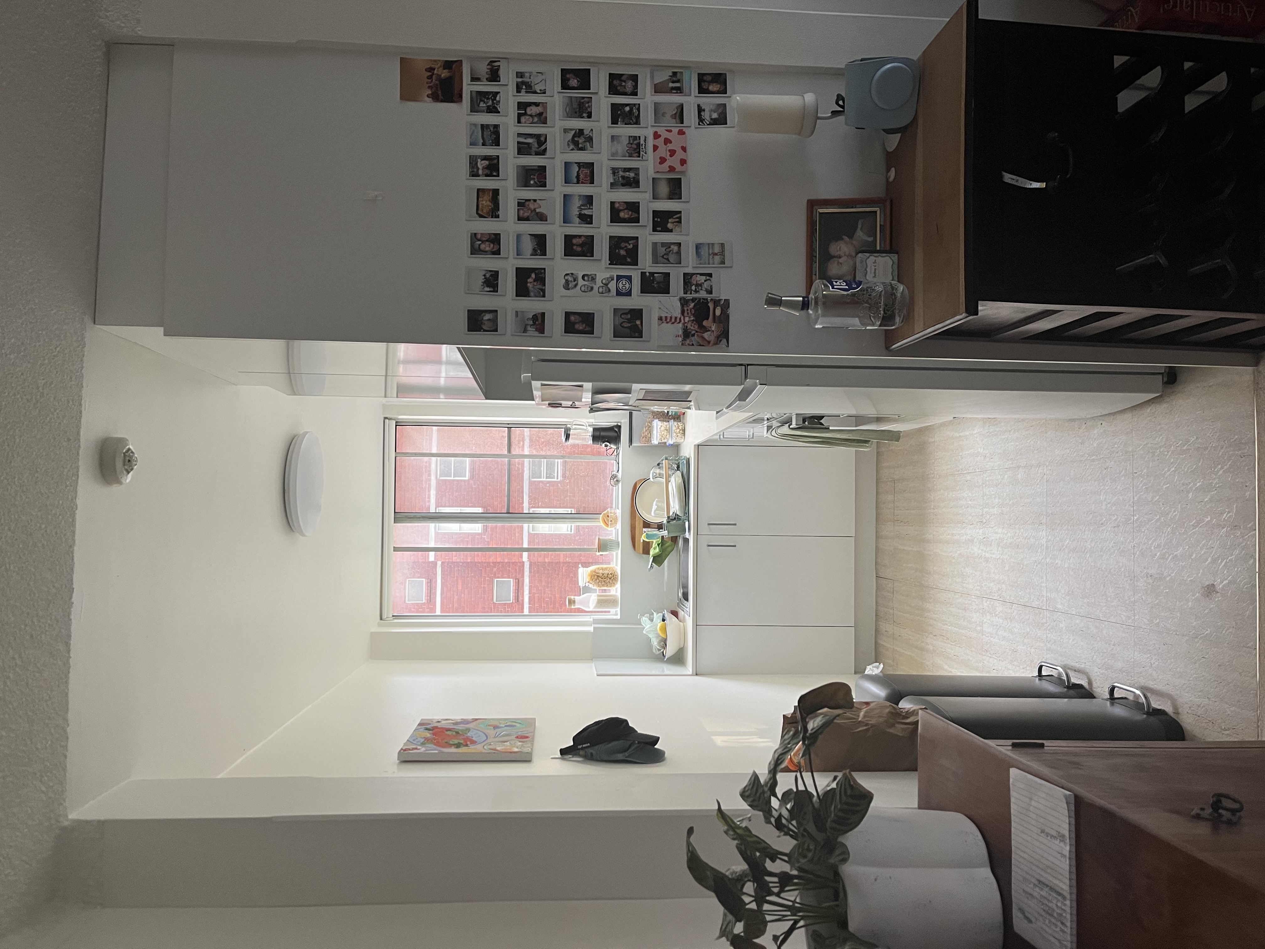 image-19