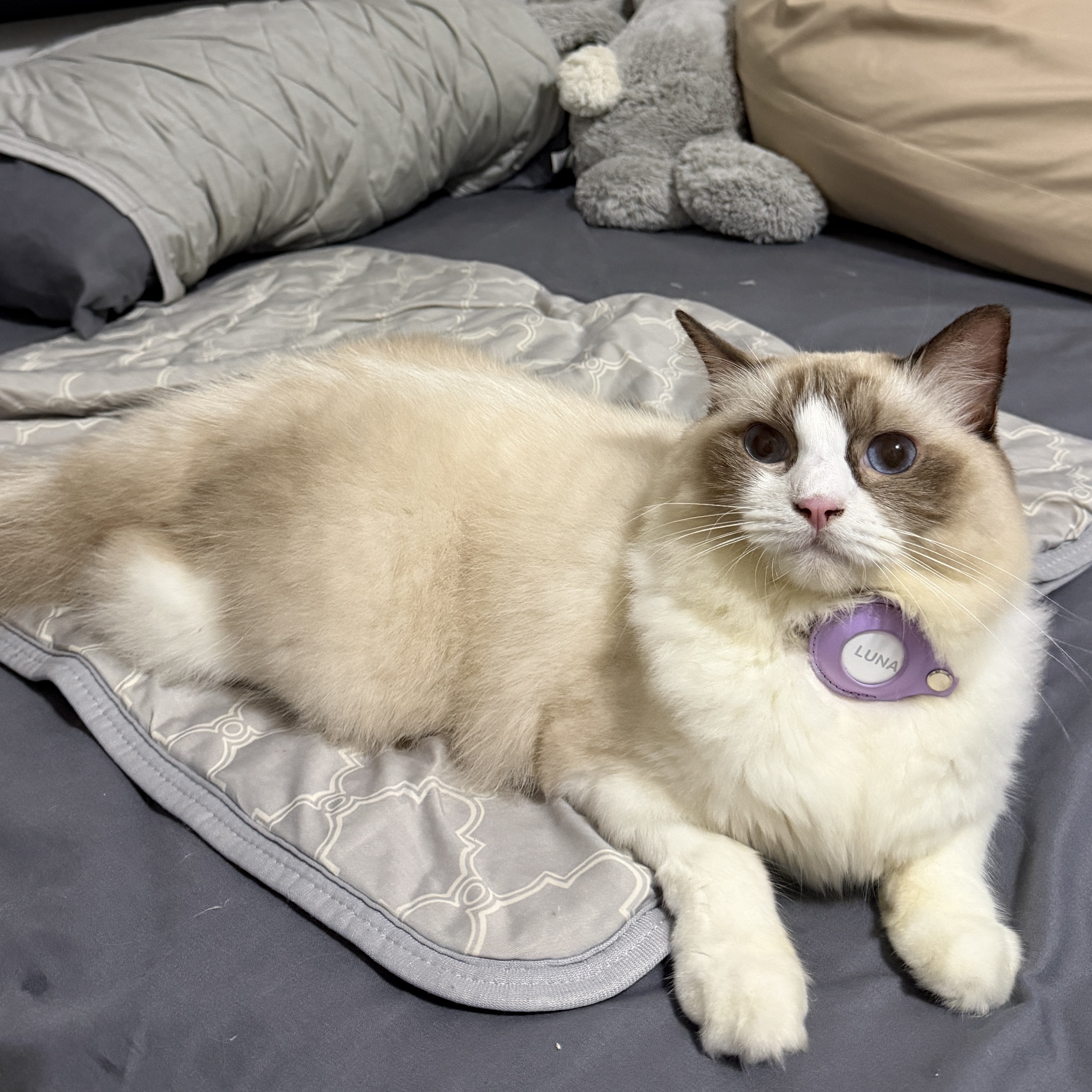 Luna