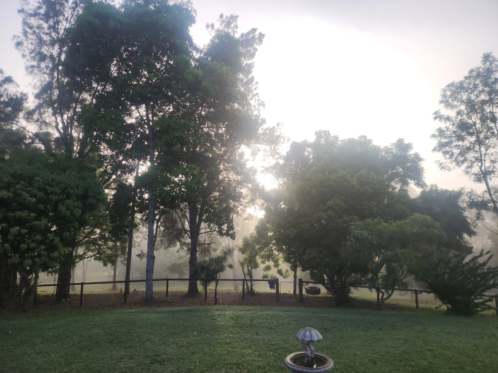 image-8