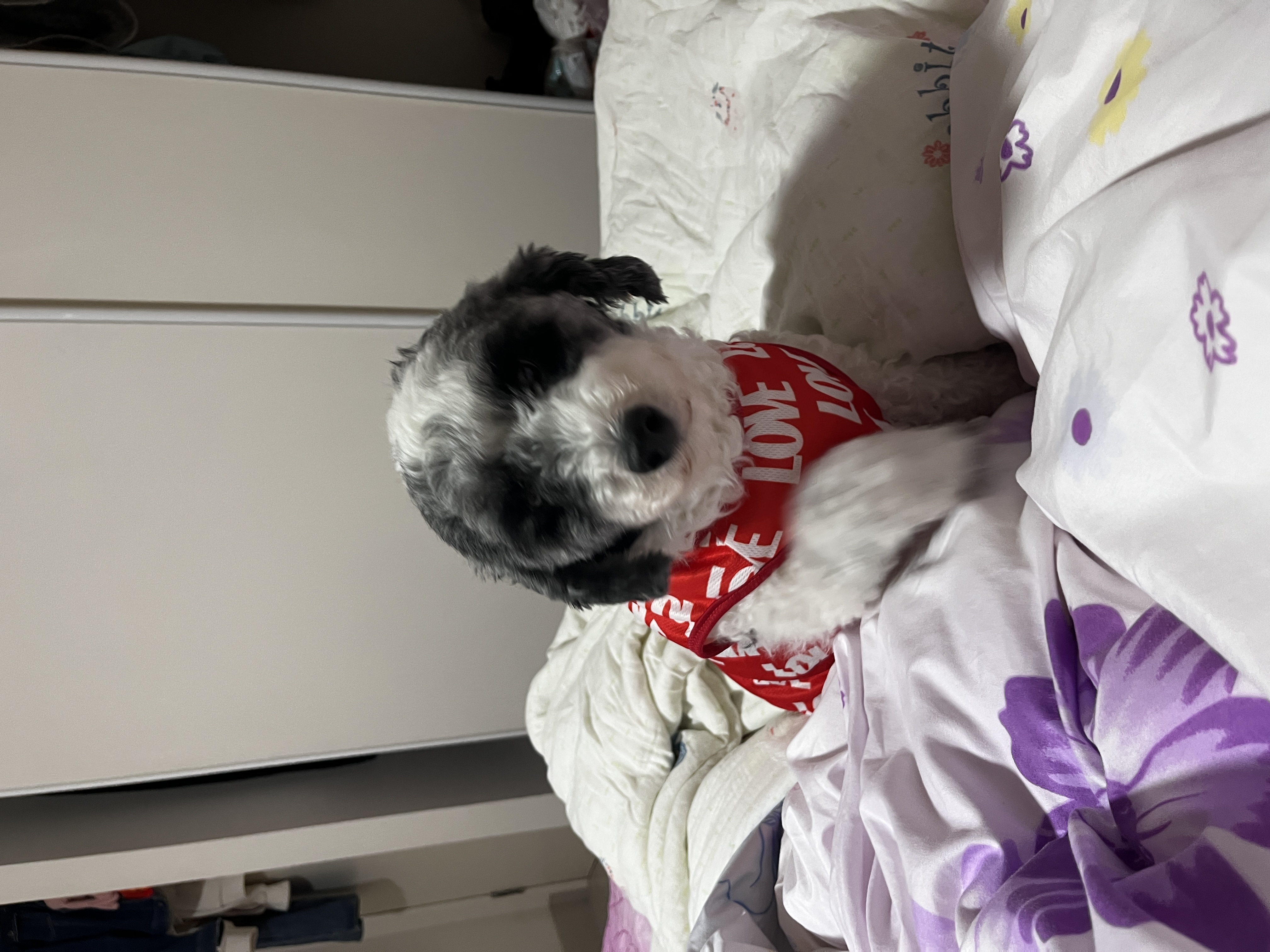 image-6