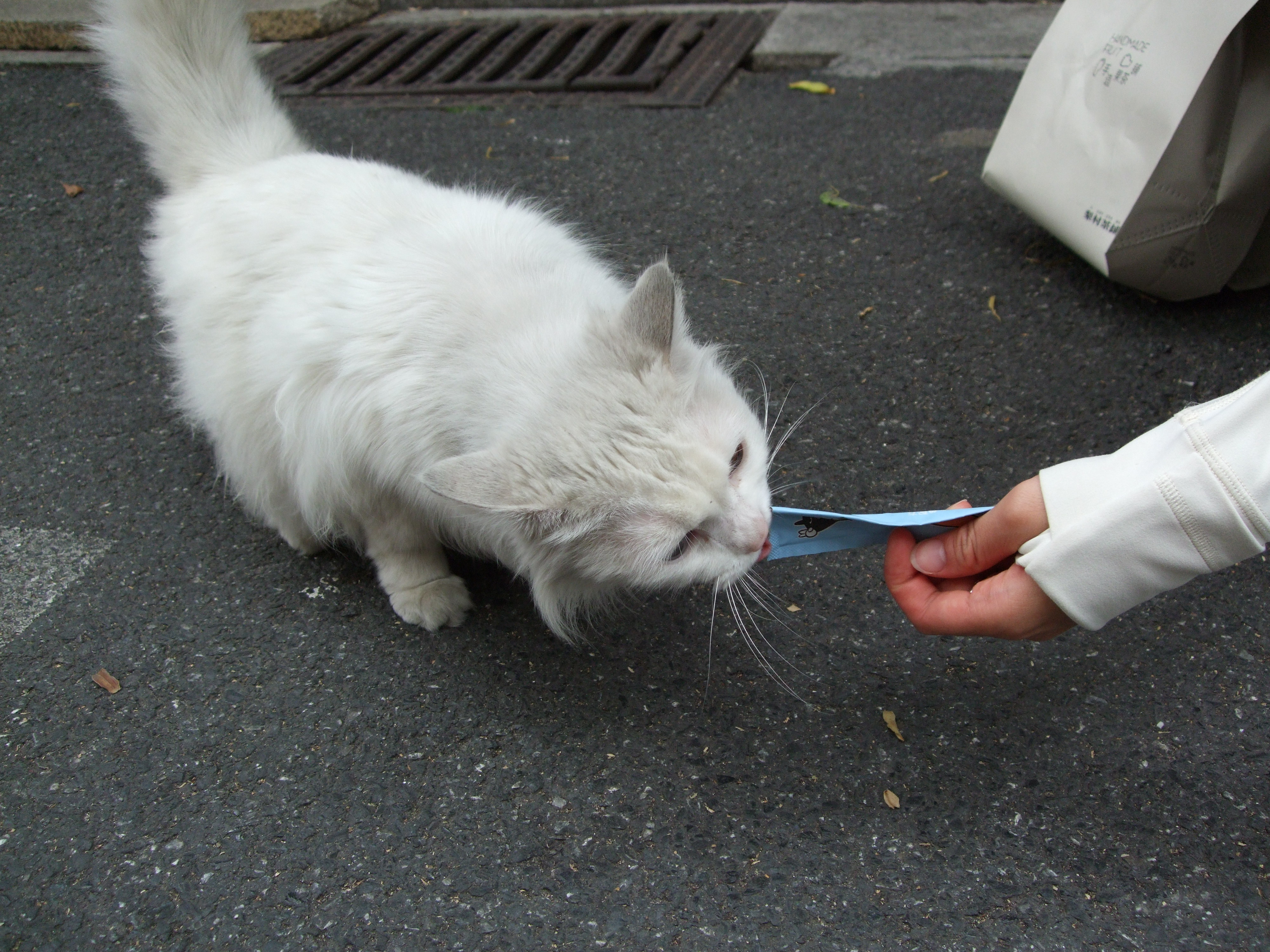 image-20