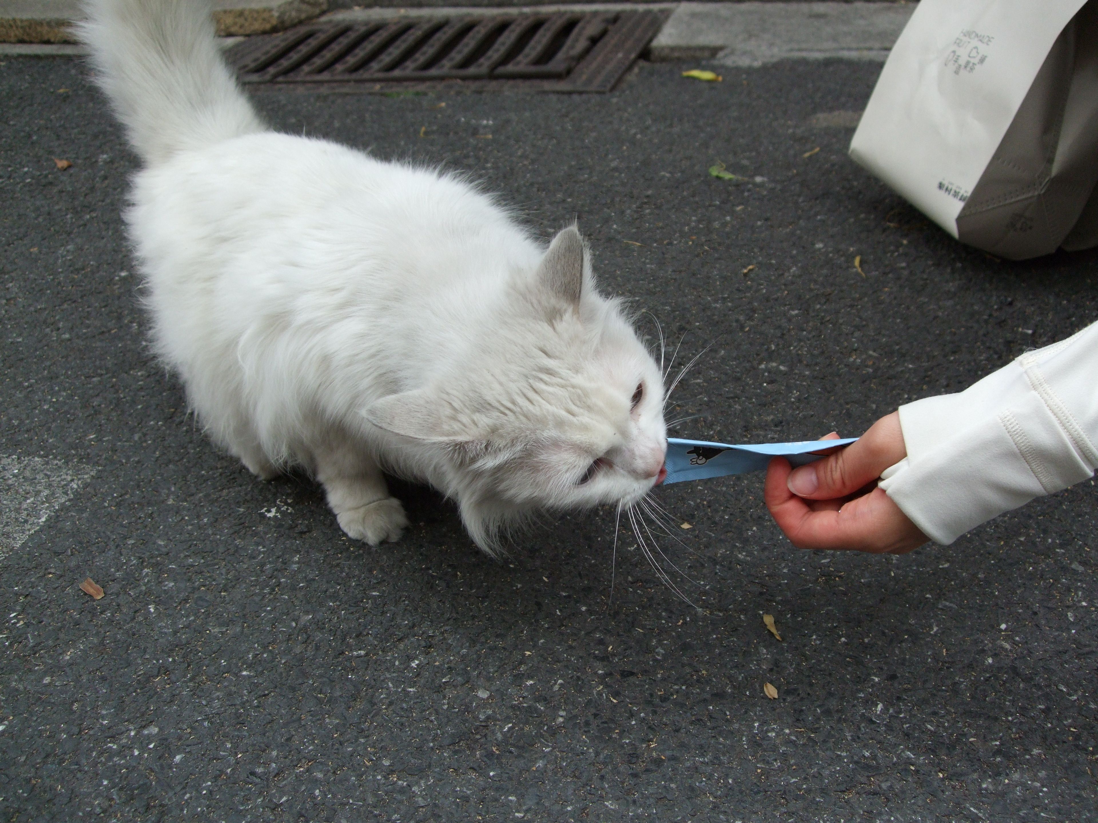 image-20