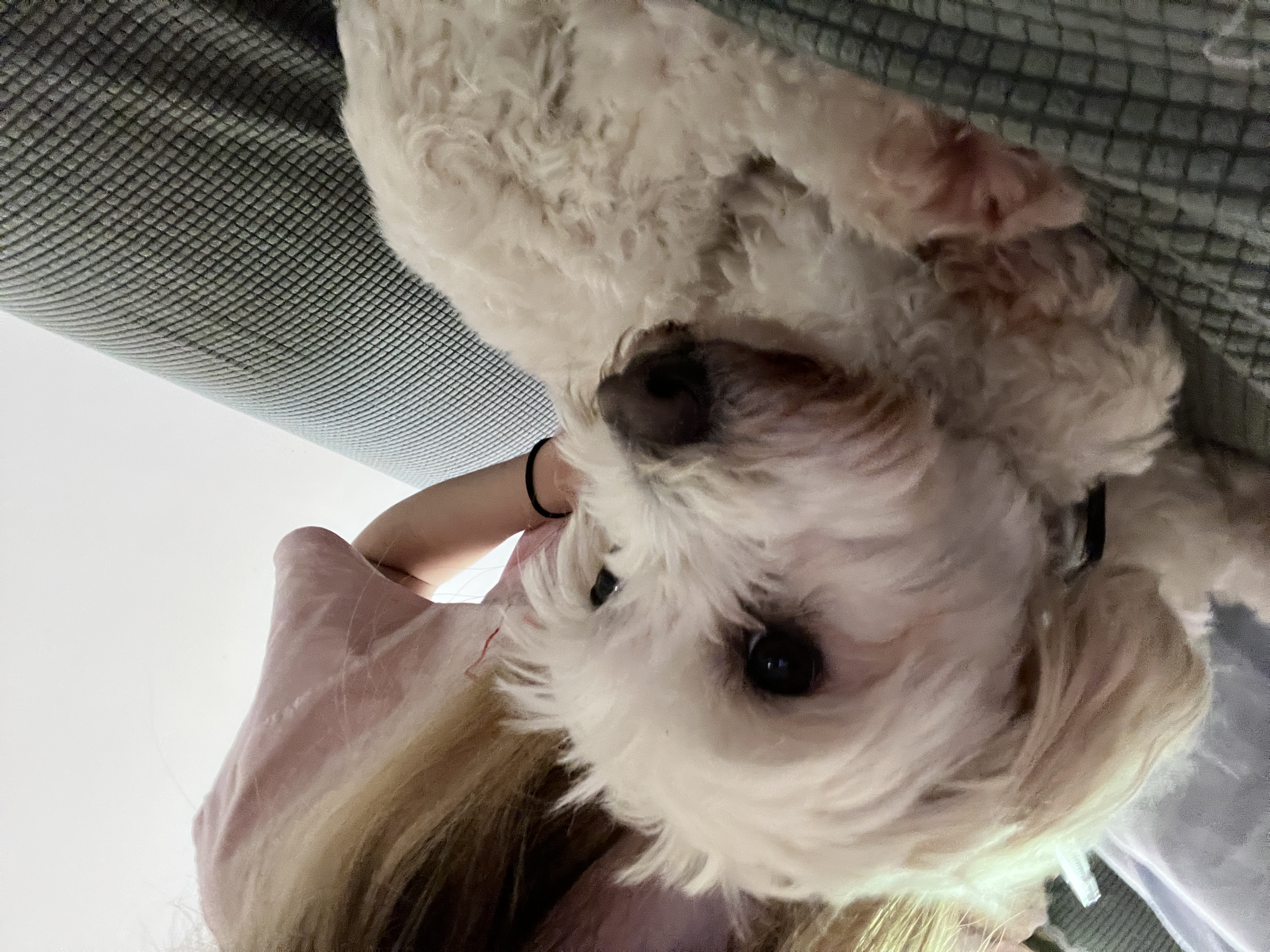 image-5