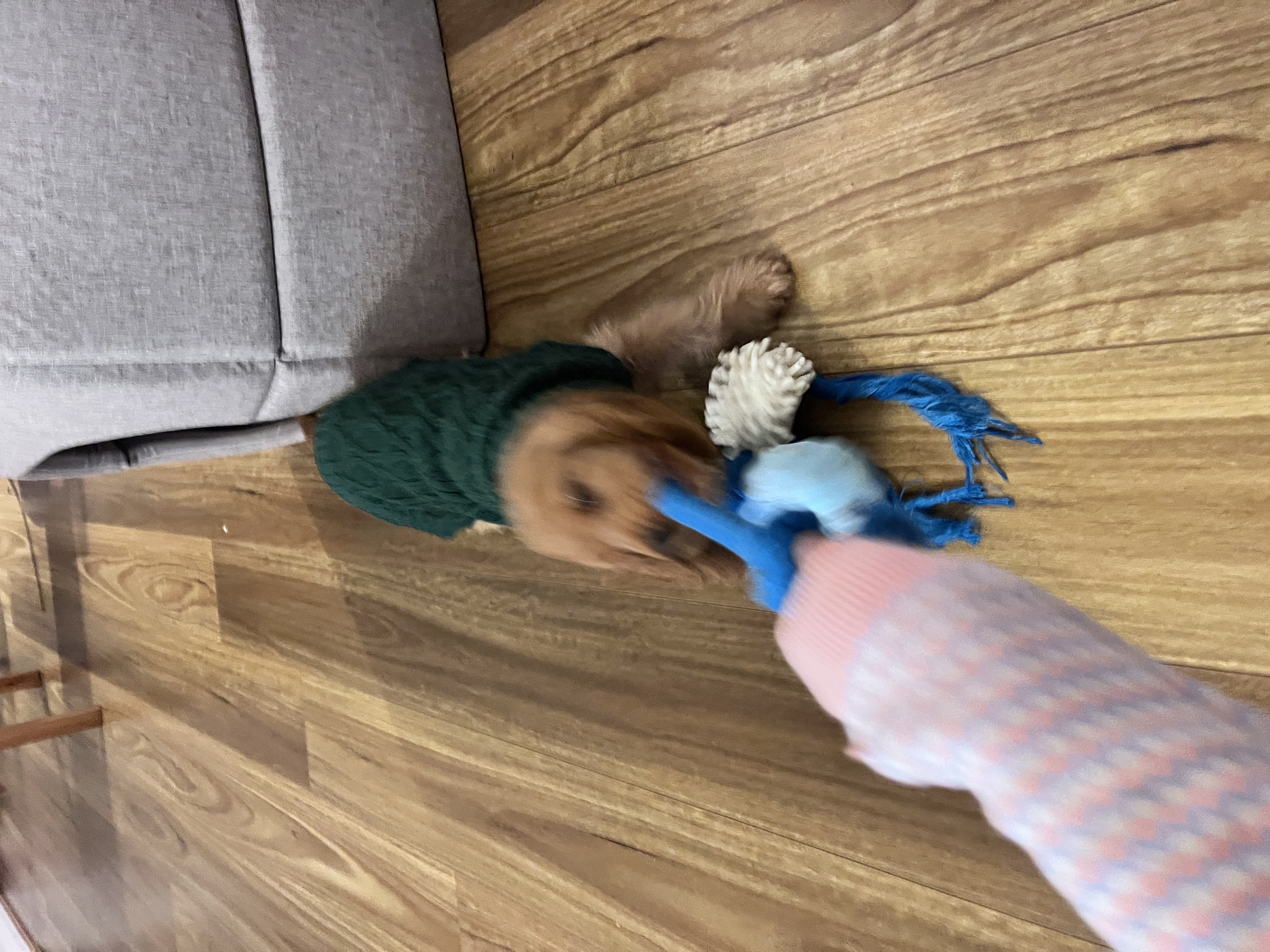 image-6