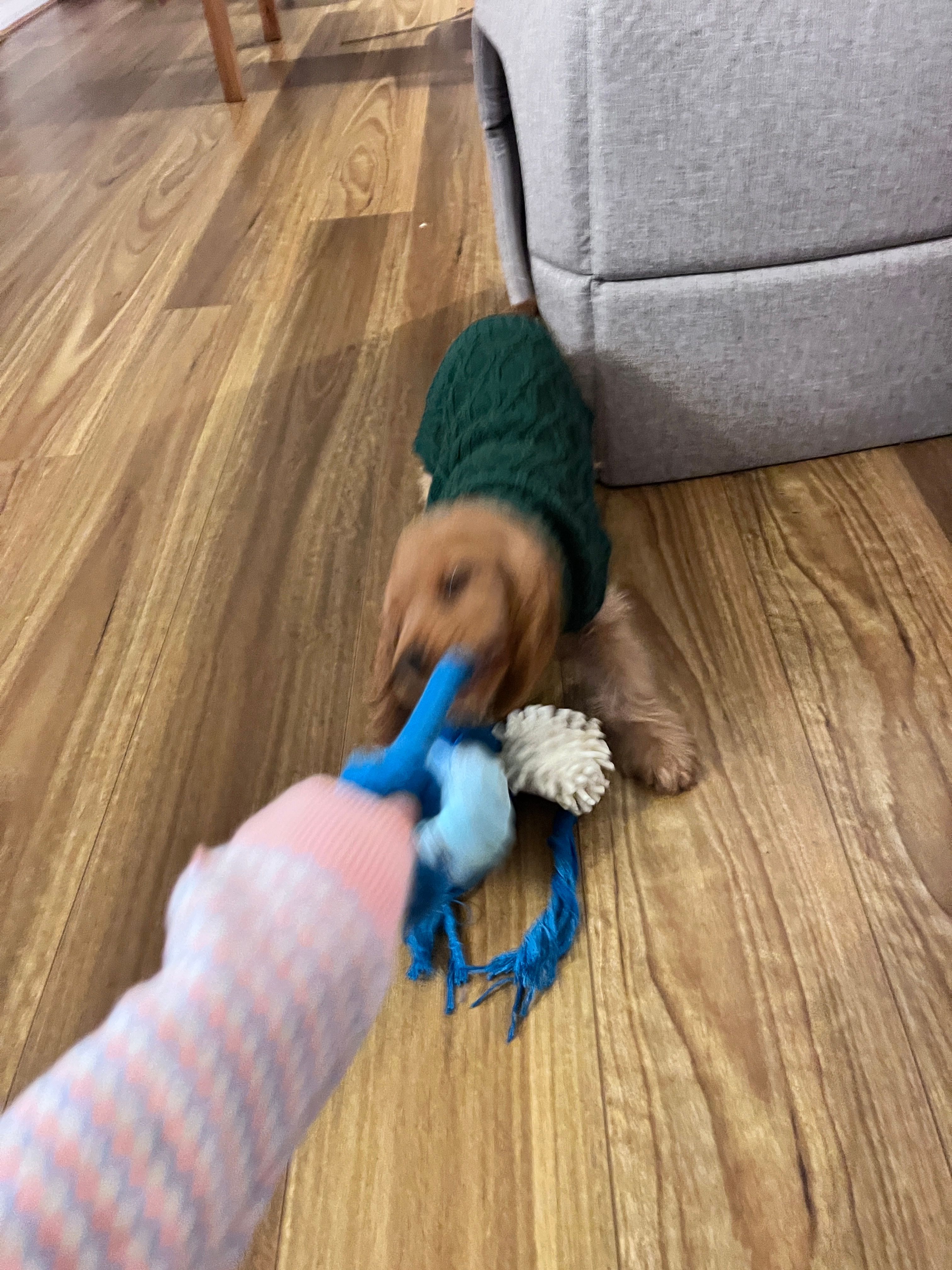 image-6