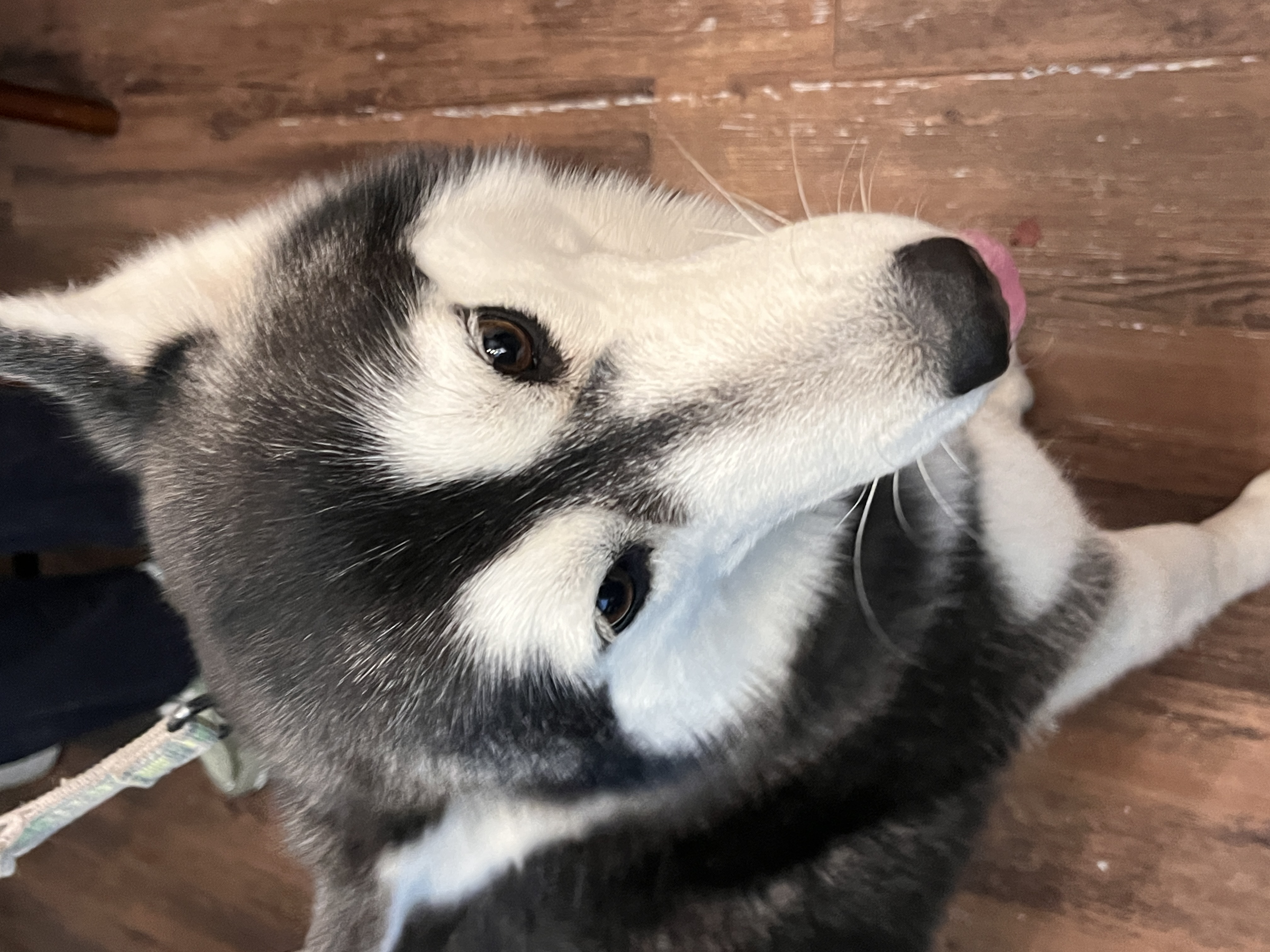 image-8