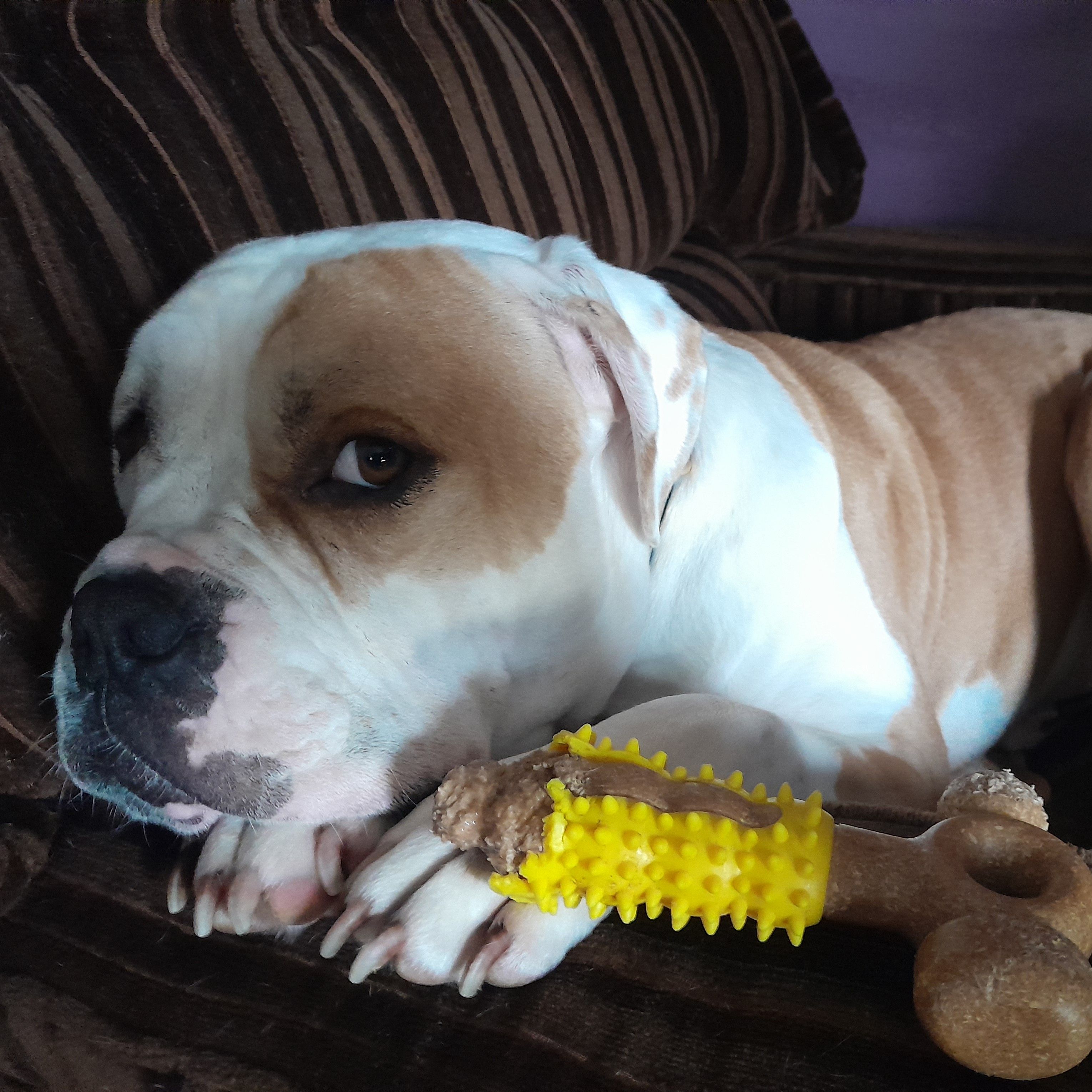 Michael