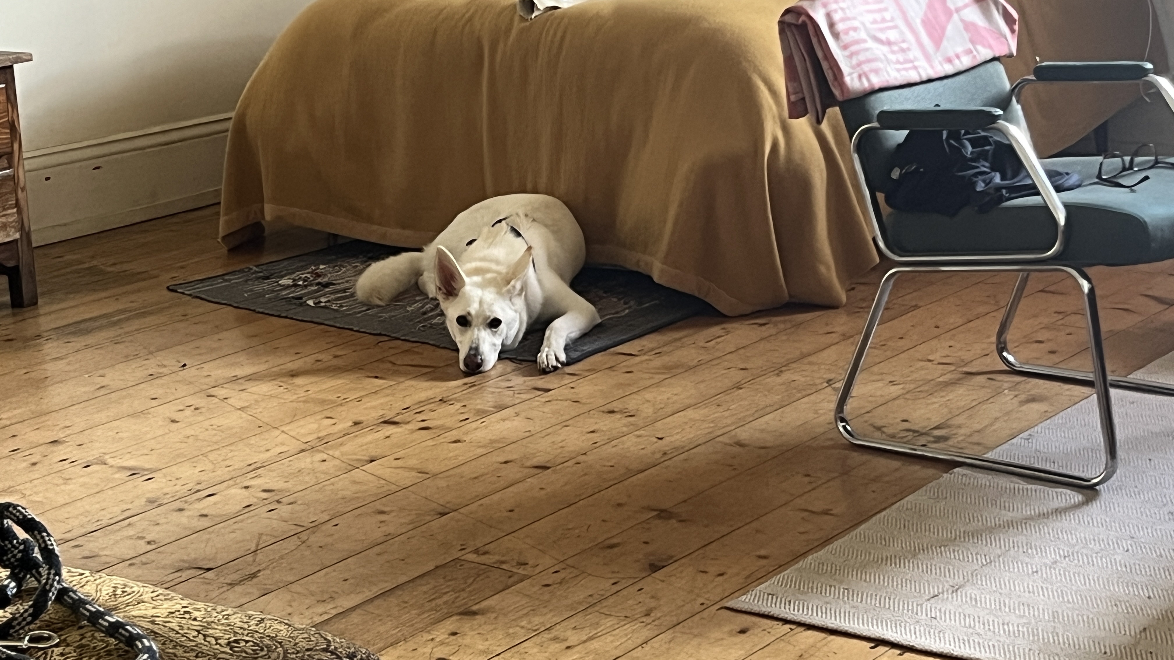 image-19