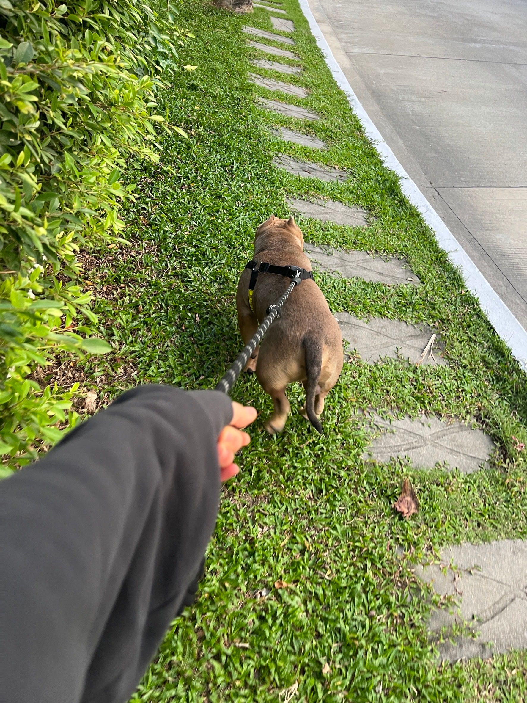 image-10