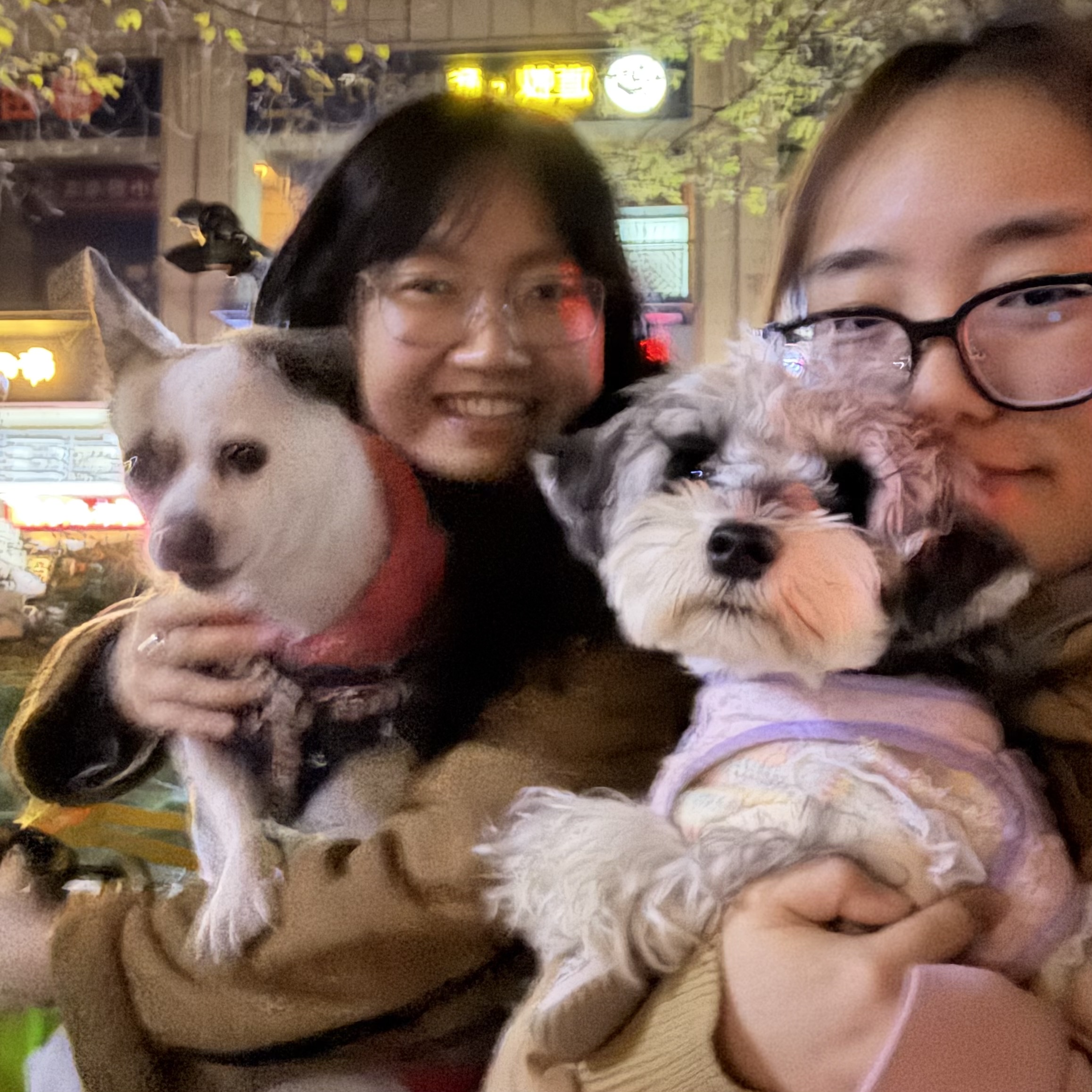 image-7