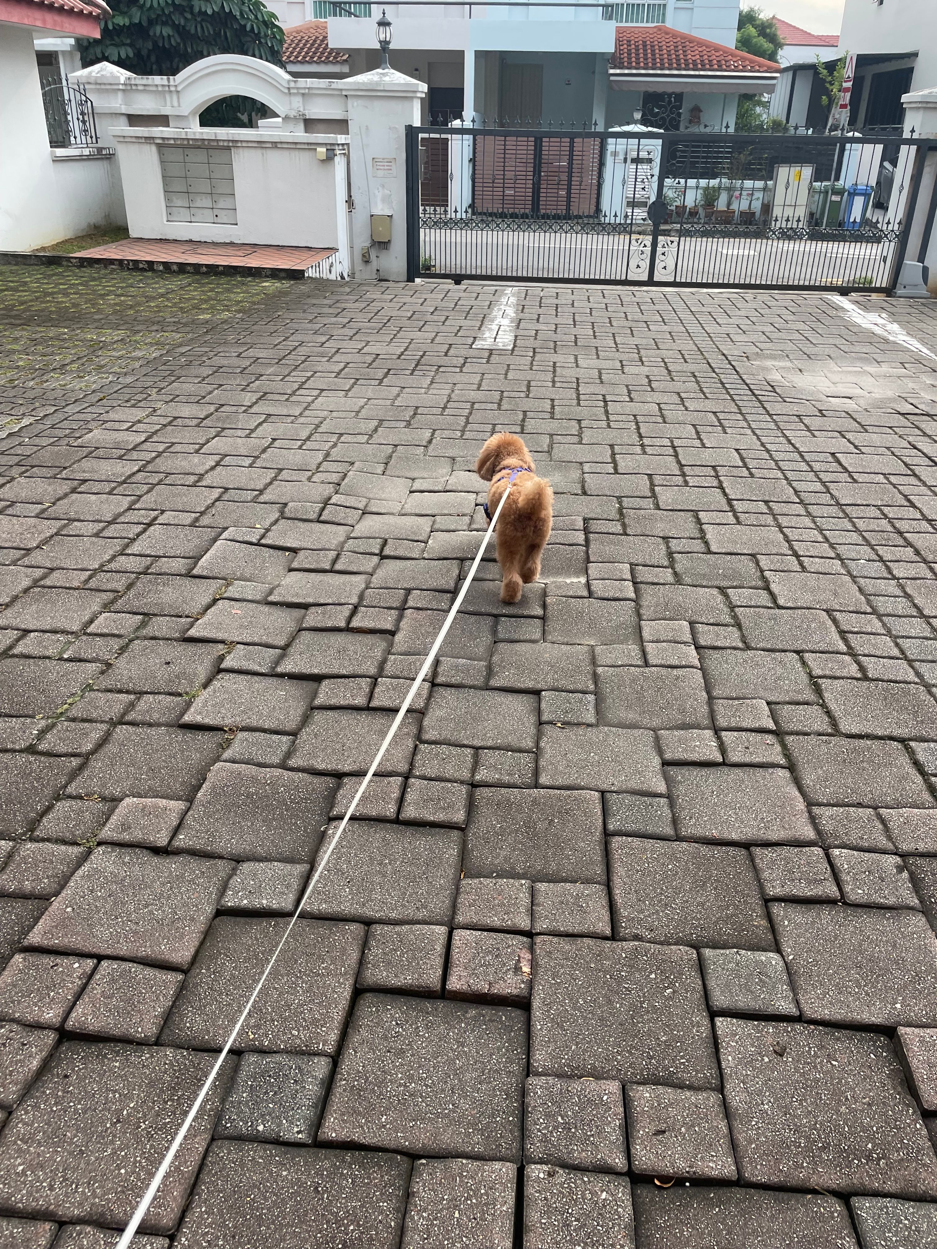 image-20