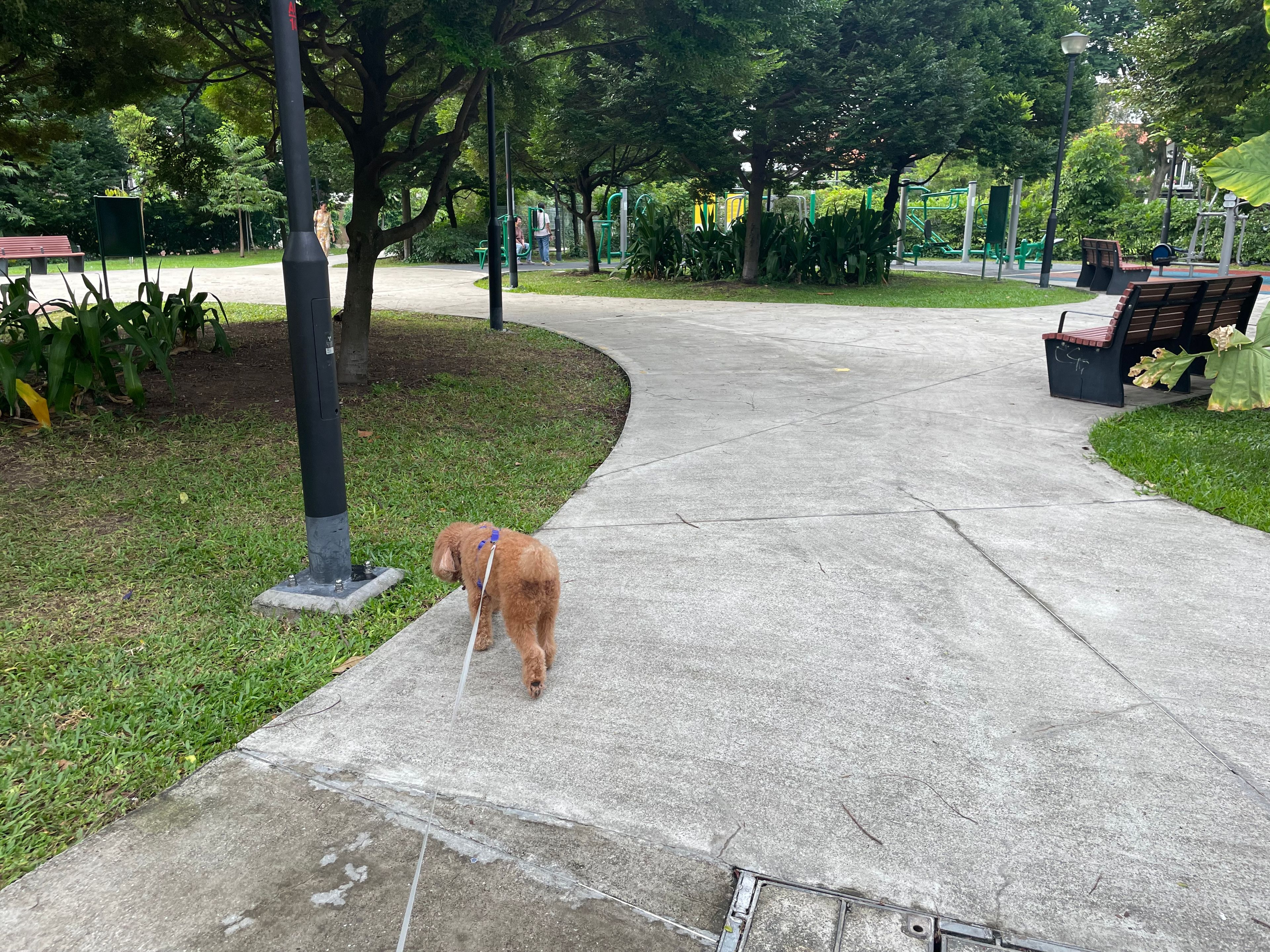 image-23