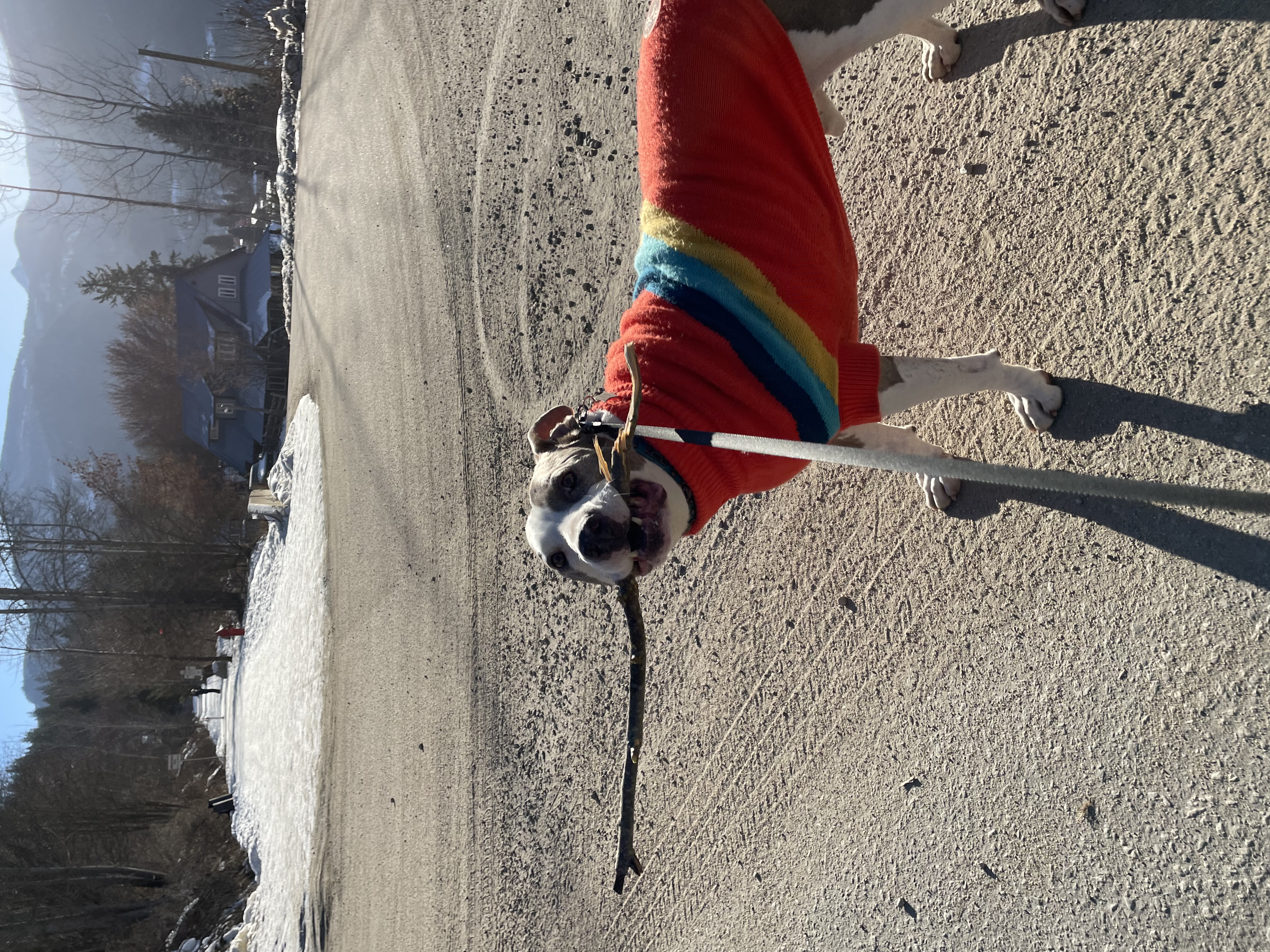 image-6