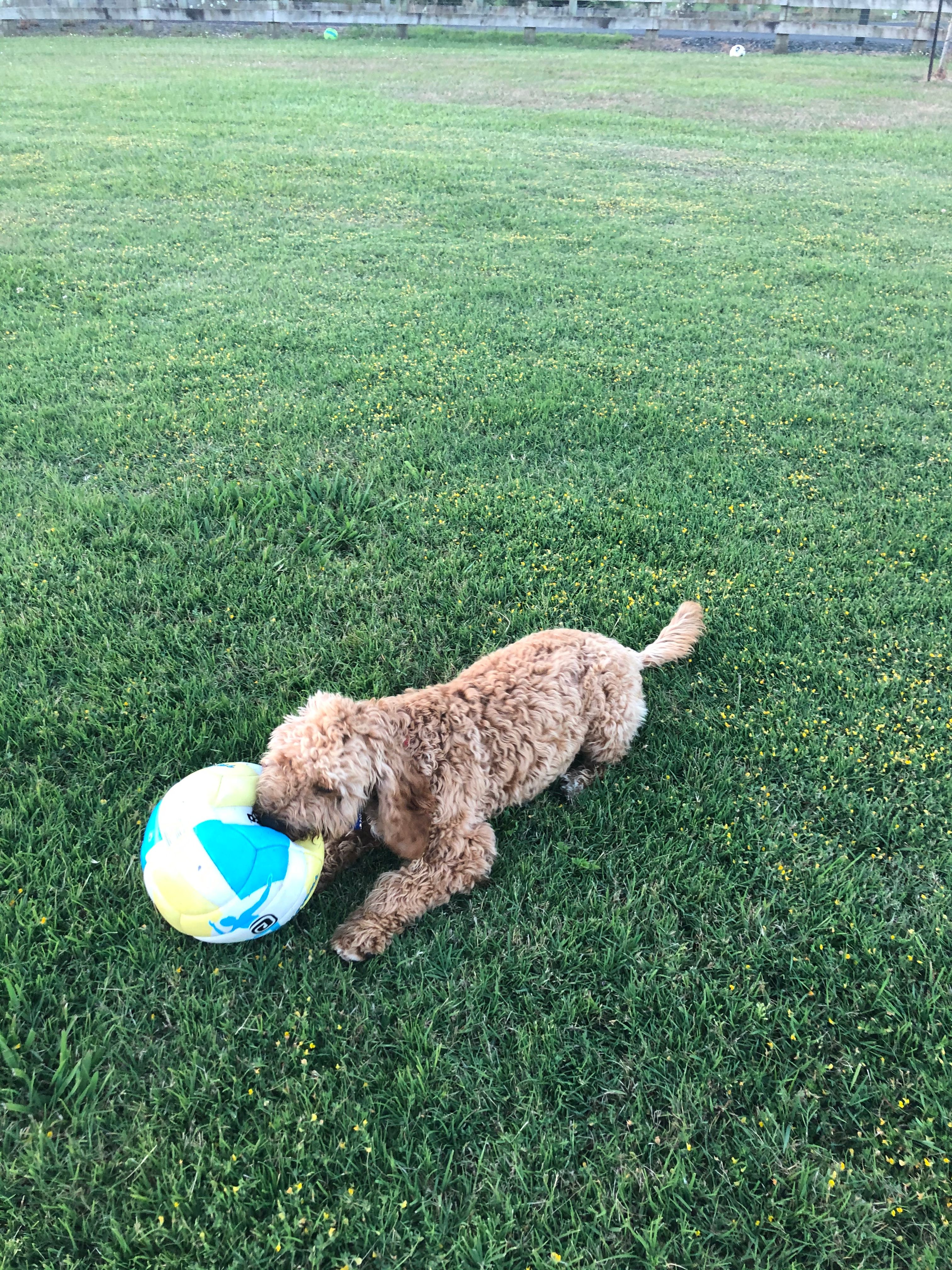 image-6