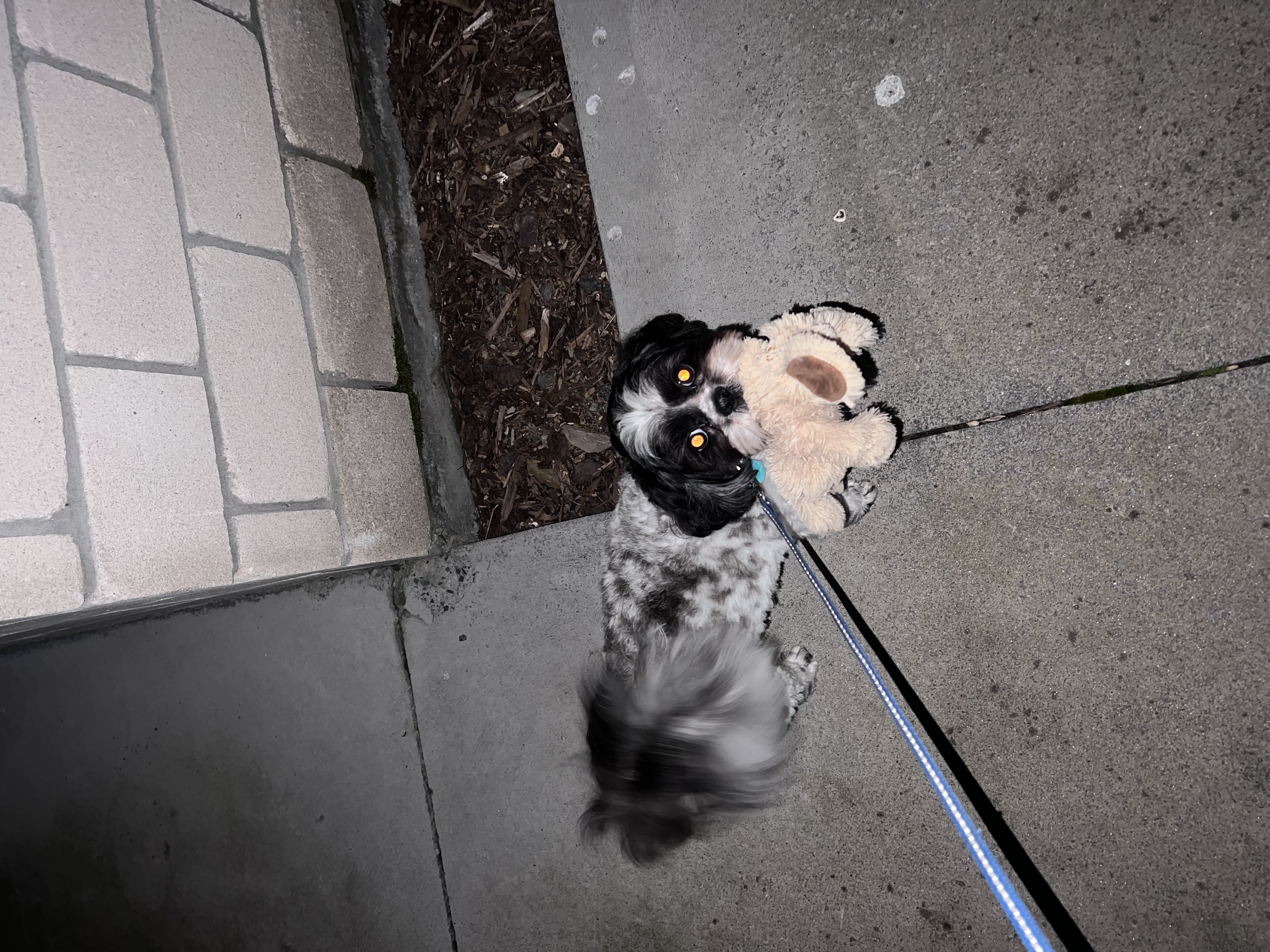 image-5