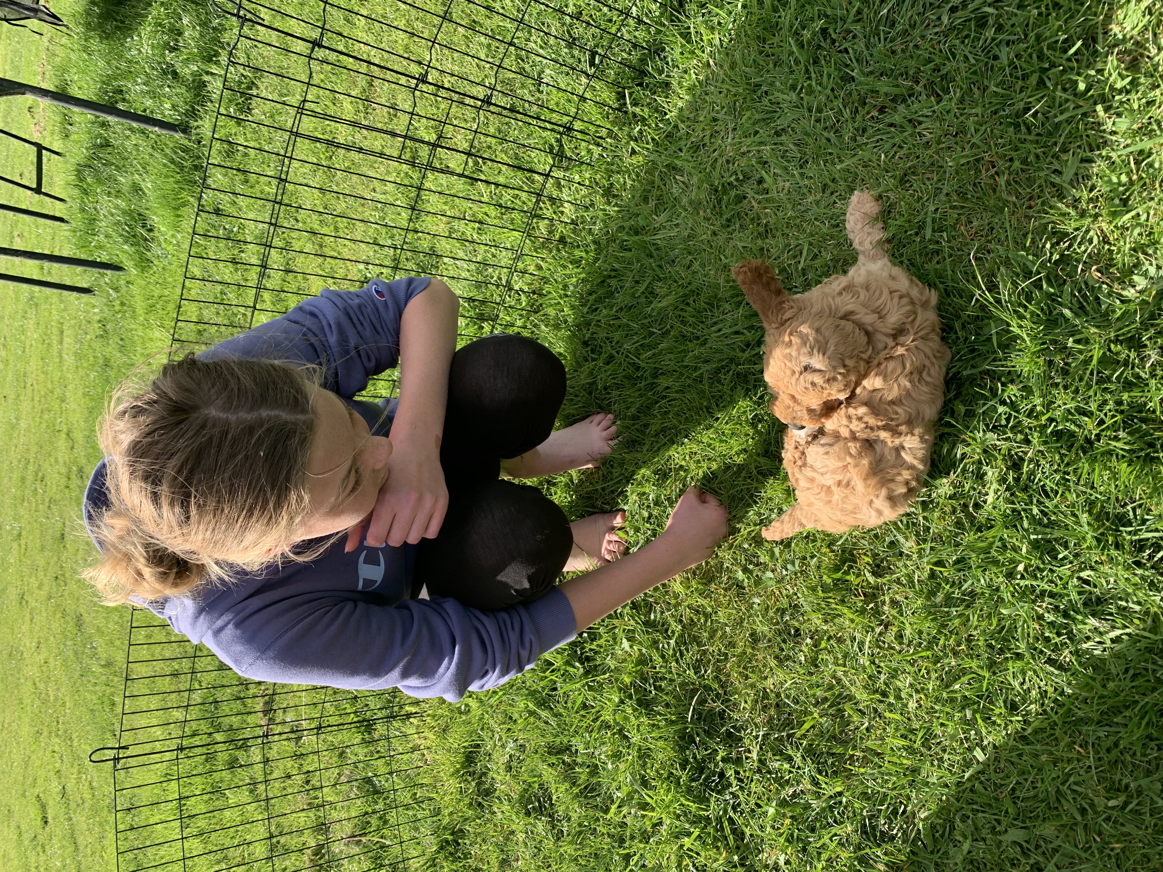 image-10