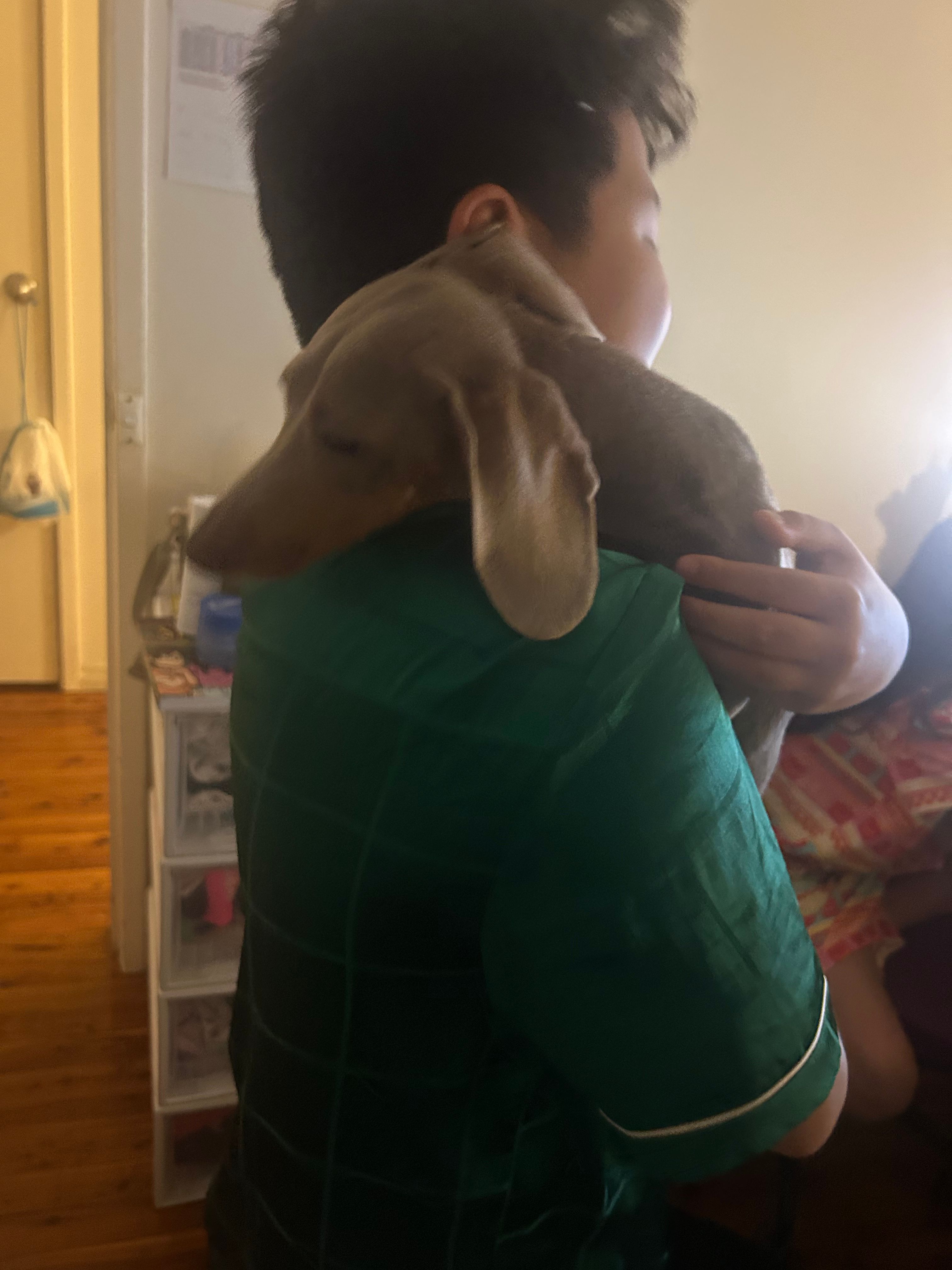 image-182