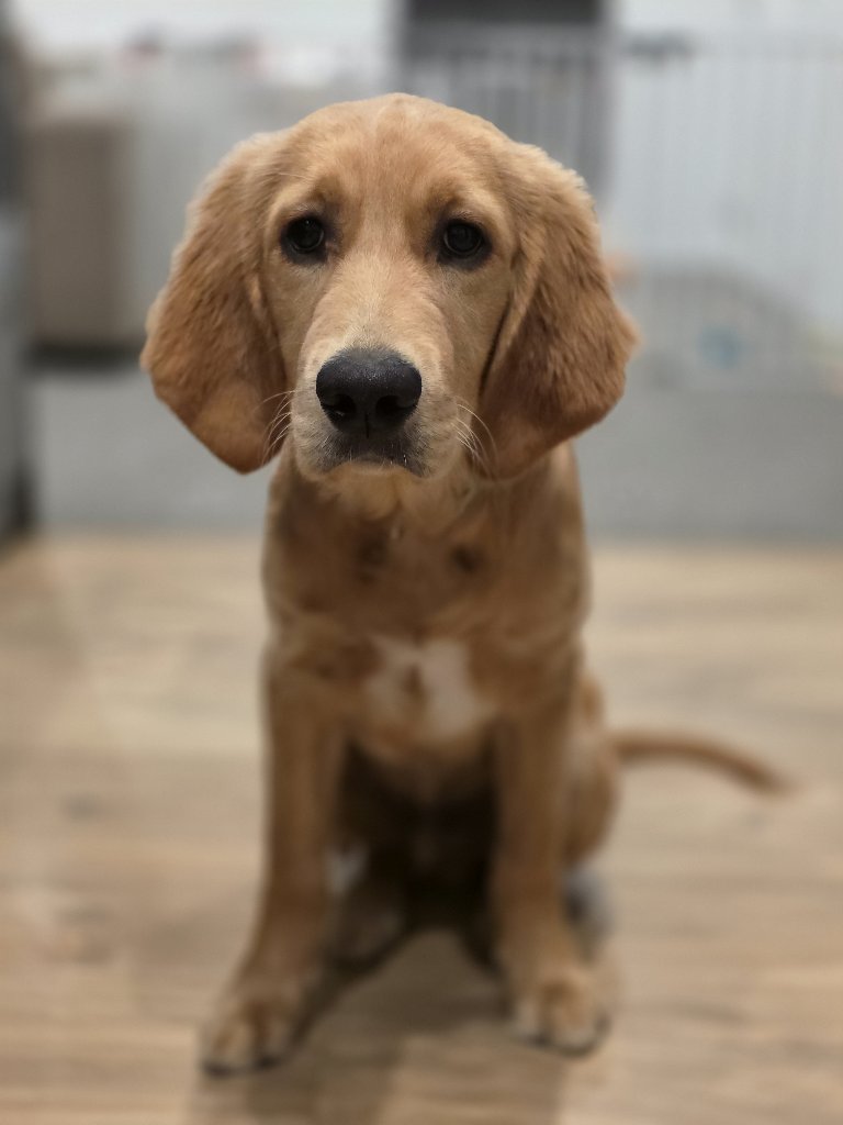 Charlie 